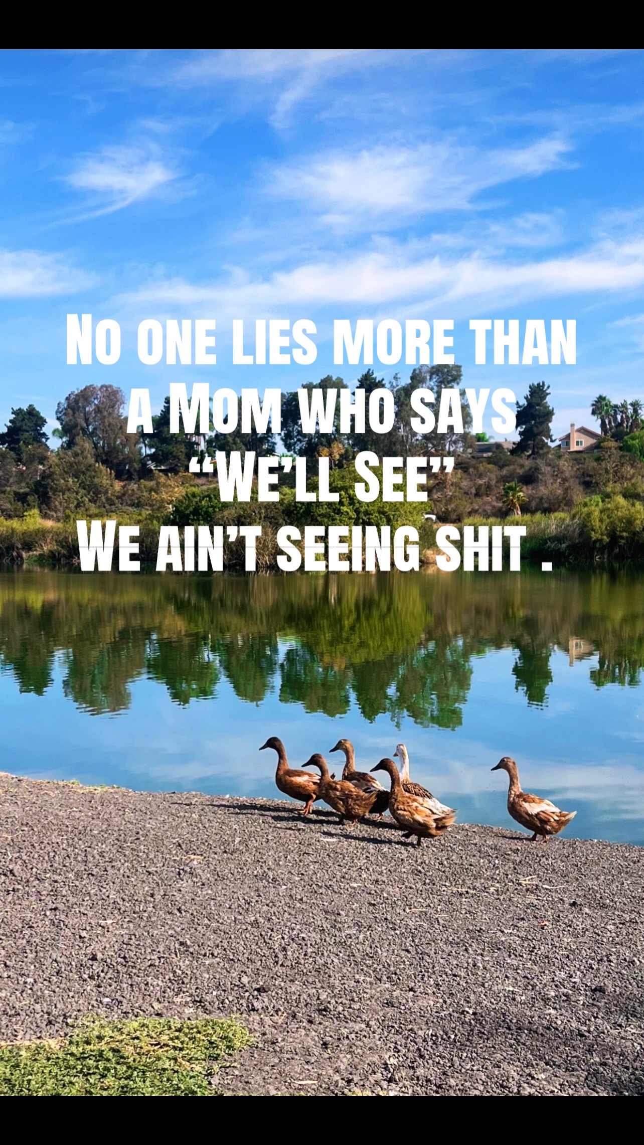 @Caylee Schutte