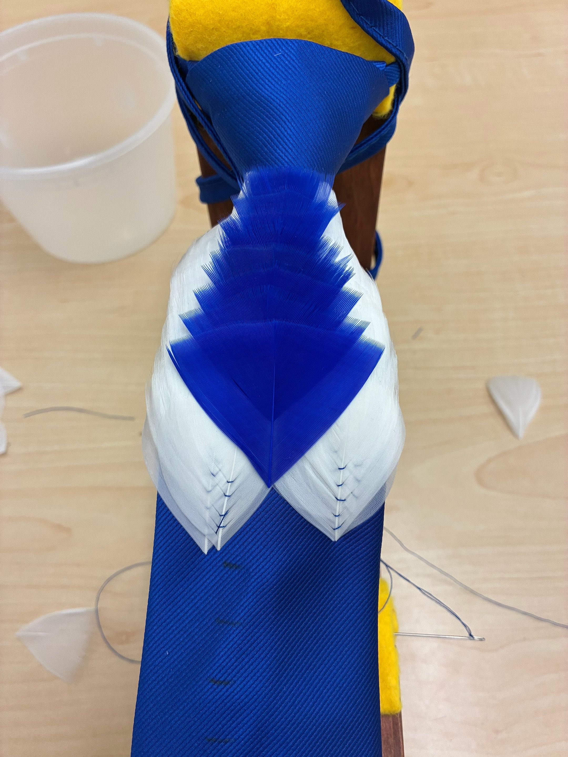 @Tee✨
