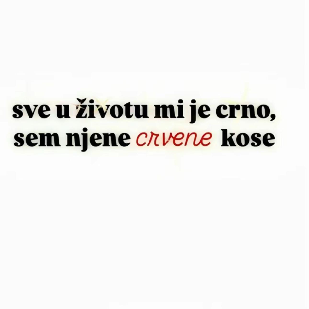 @iva🐍