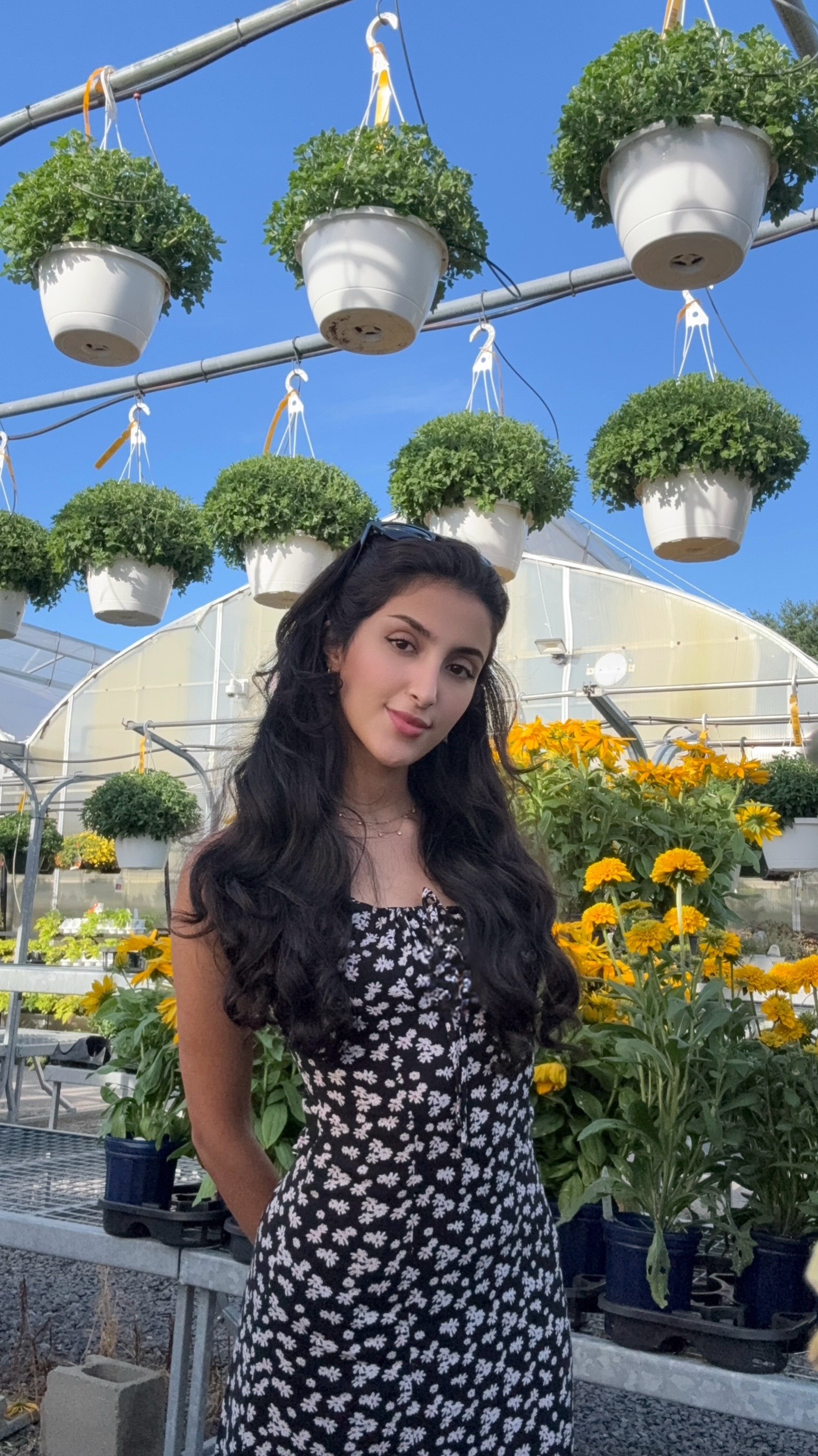 @Wejdan