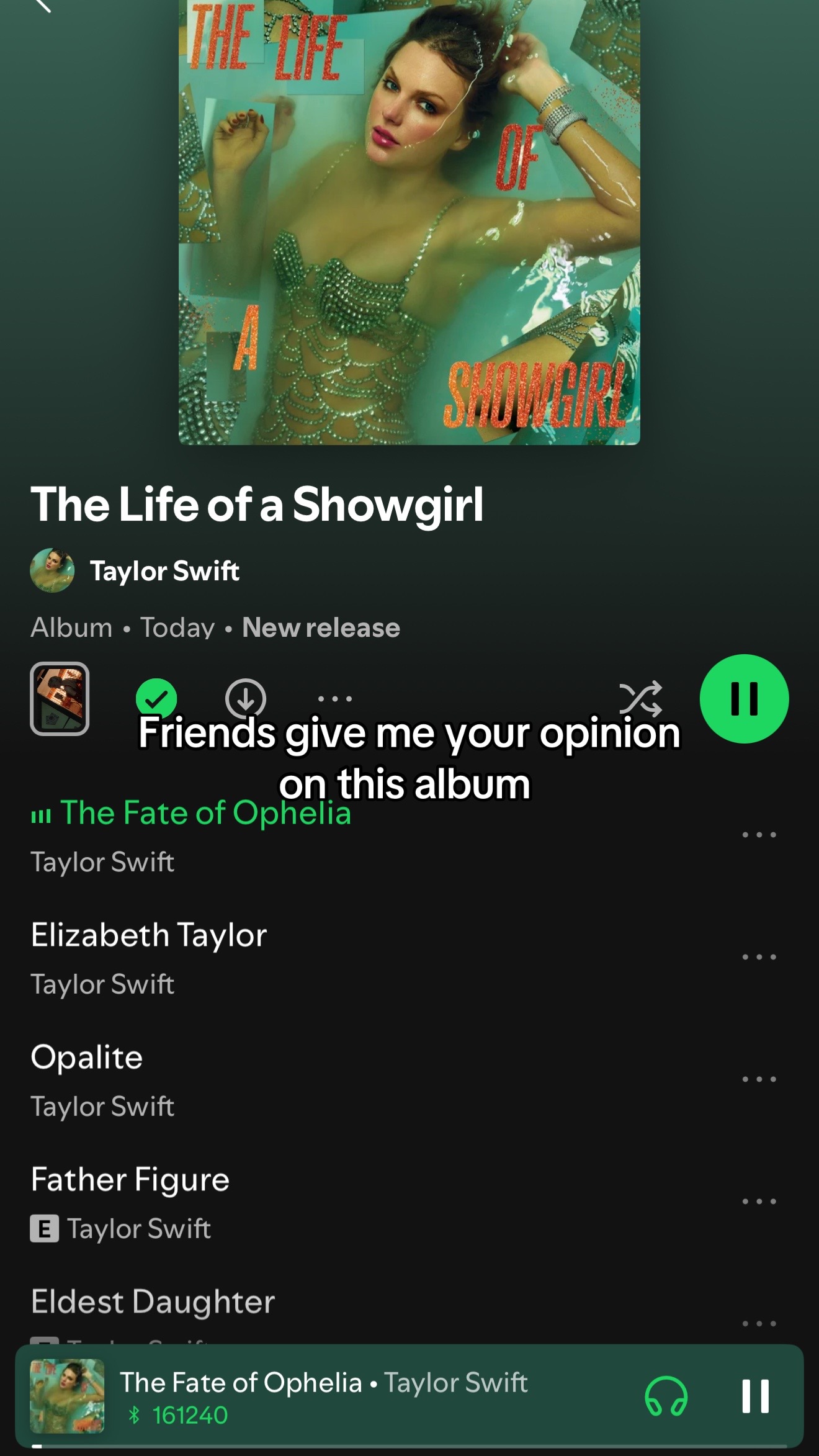 @taylor