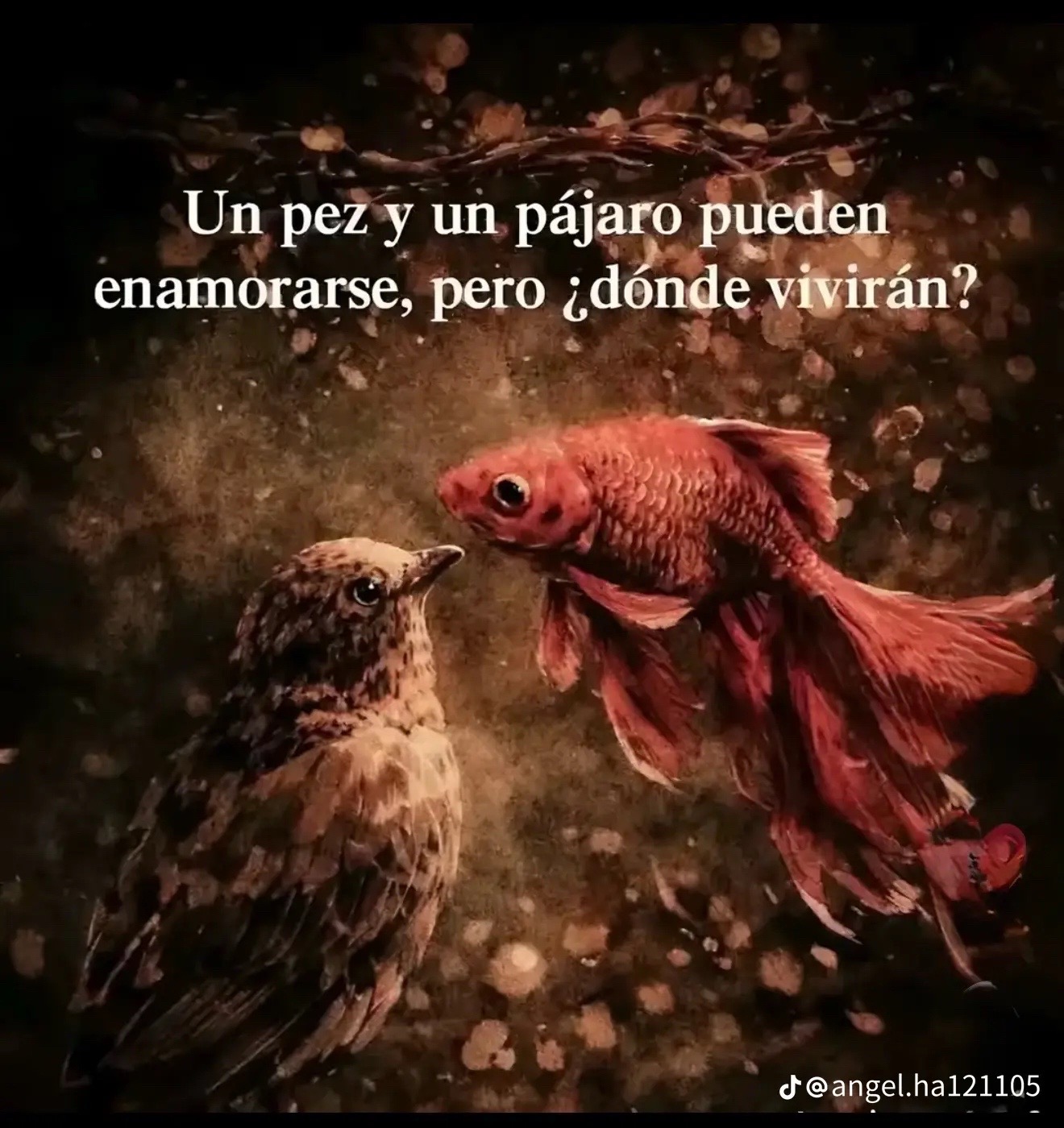 @Carmen Diaz