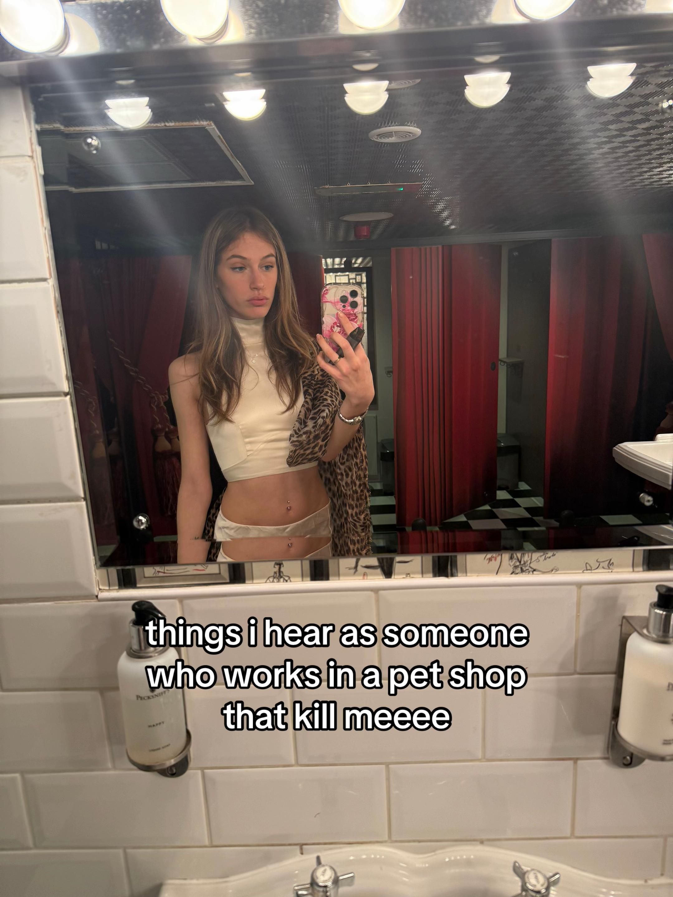 @Imys Animals