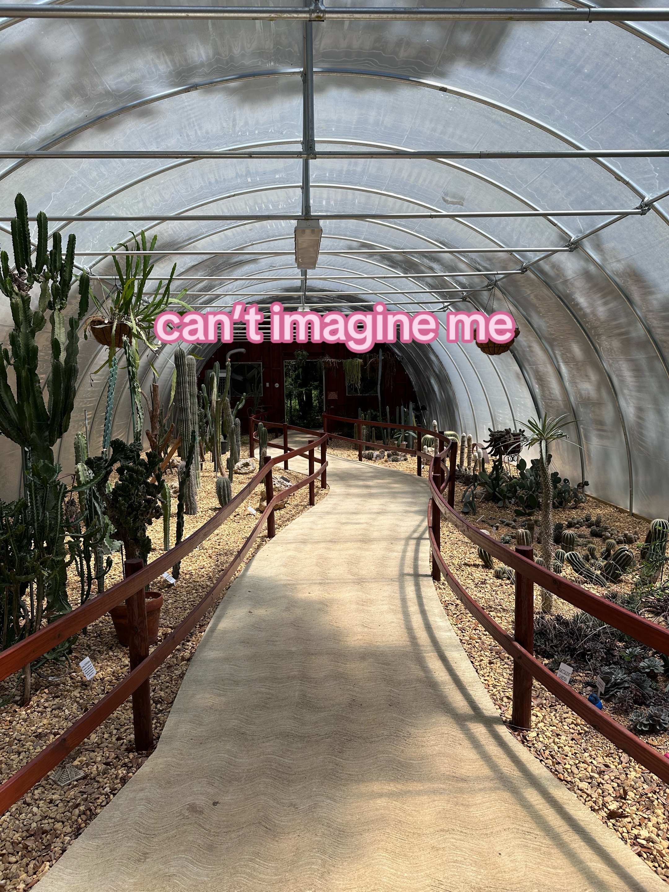 @Ant