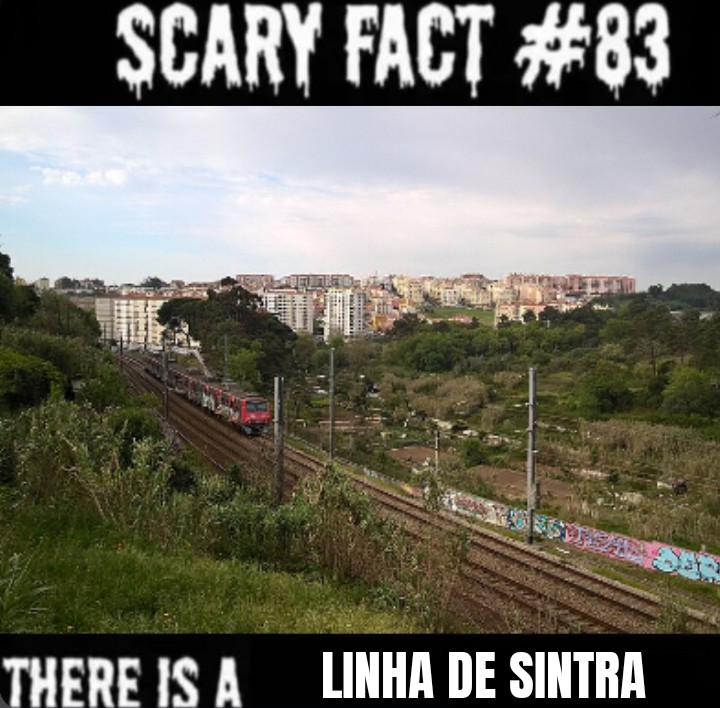 @panquilh&atilde;o