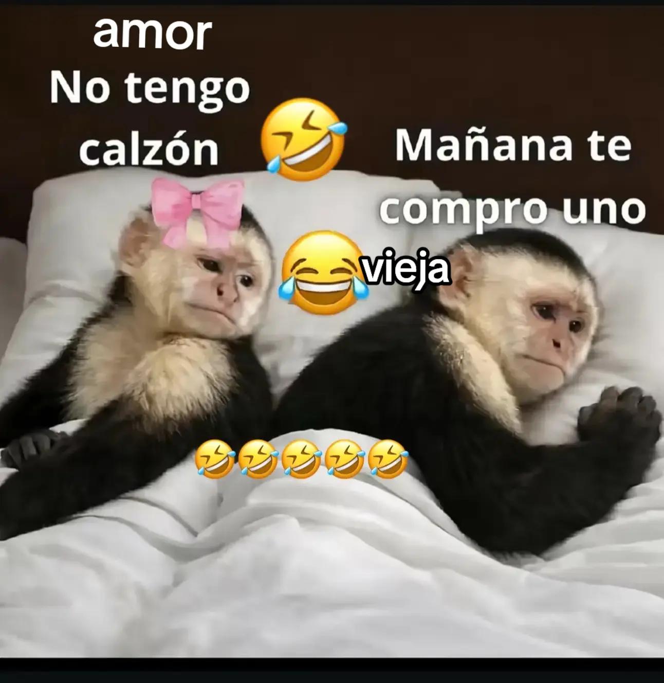 @mary 502m