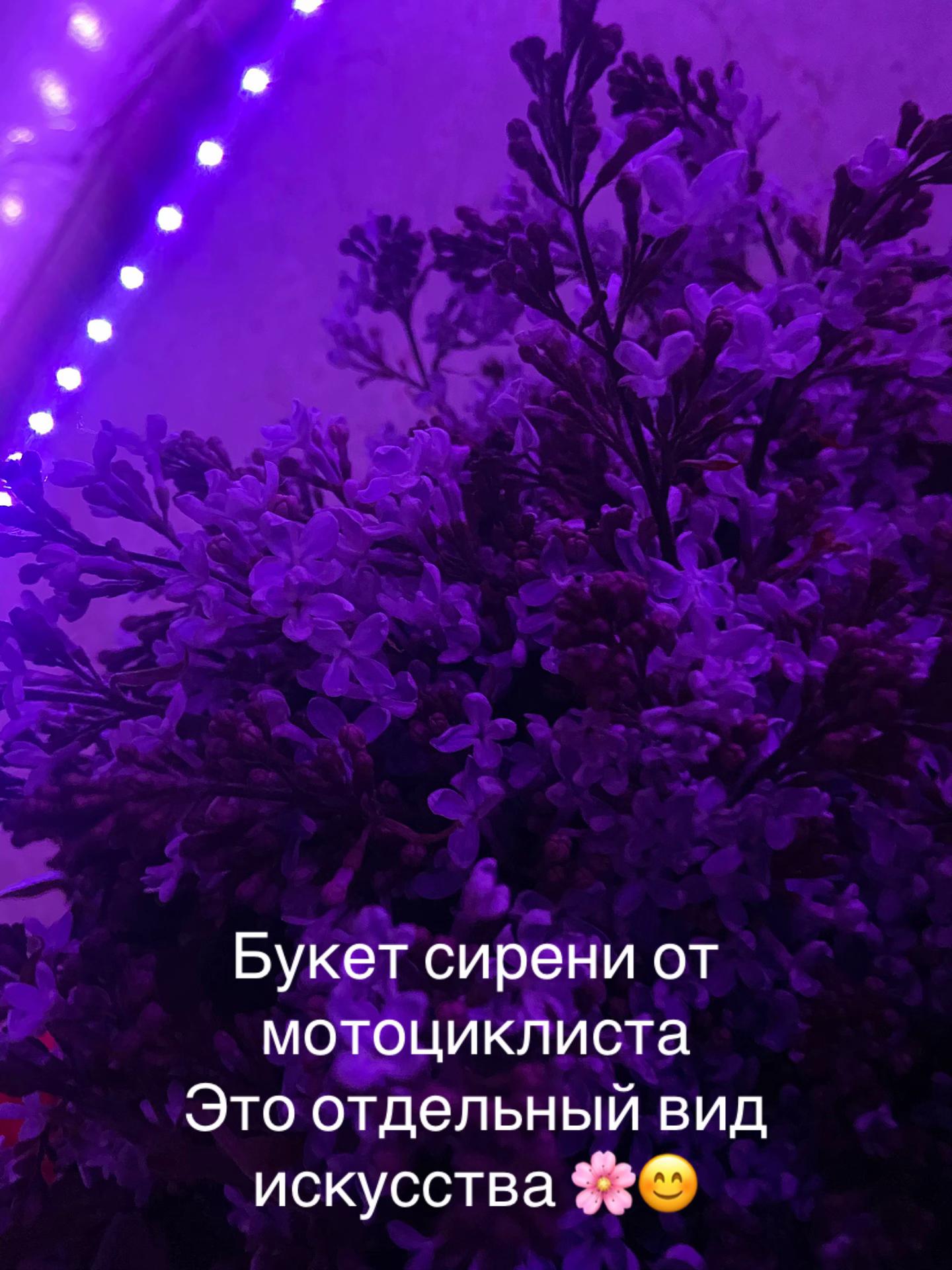 @демон👿