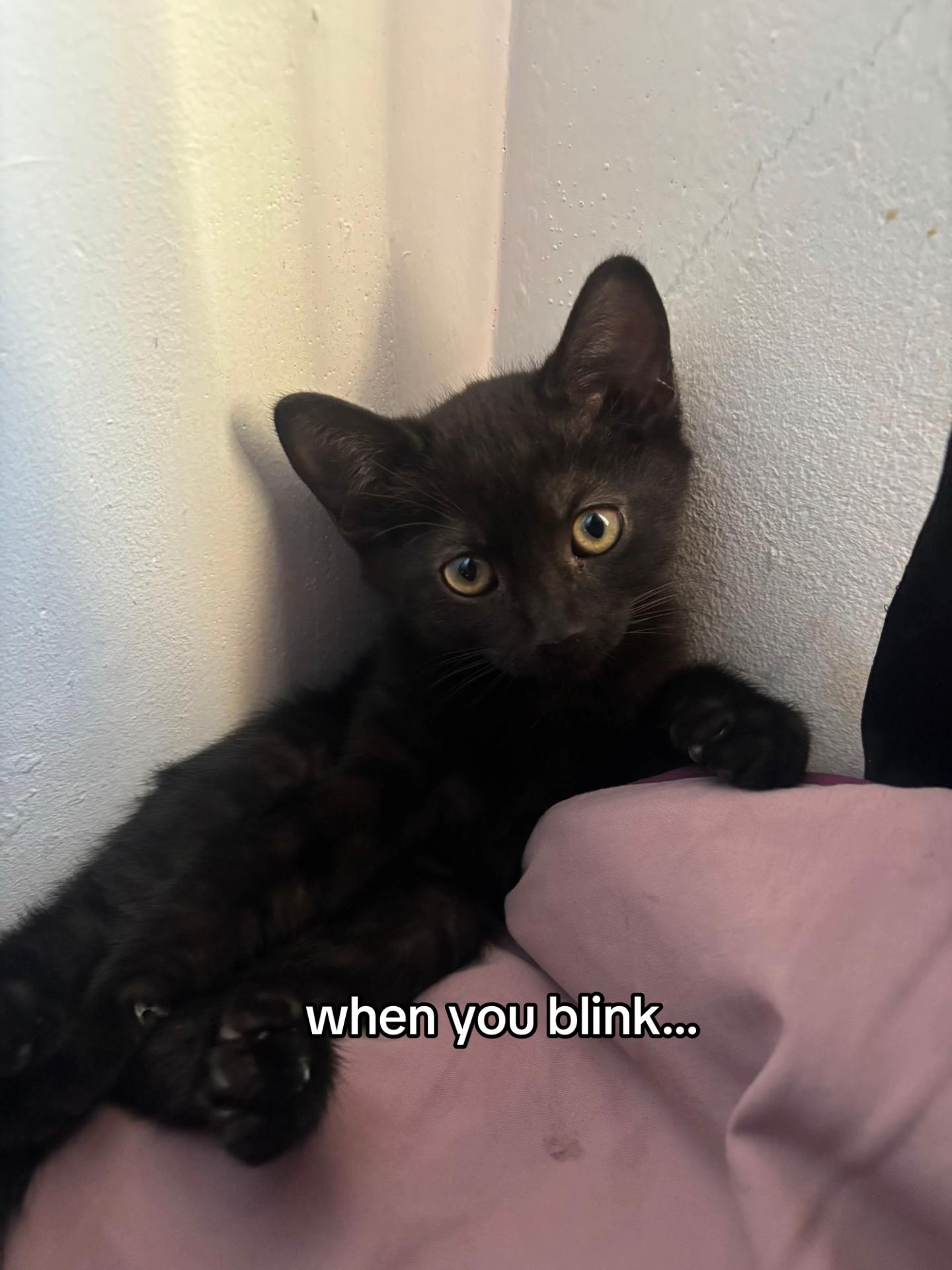 @abi 🫦