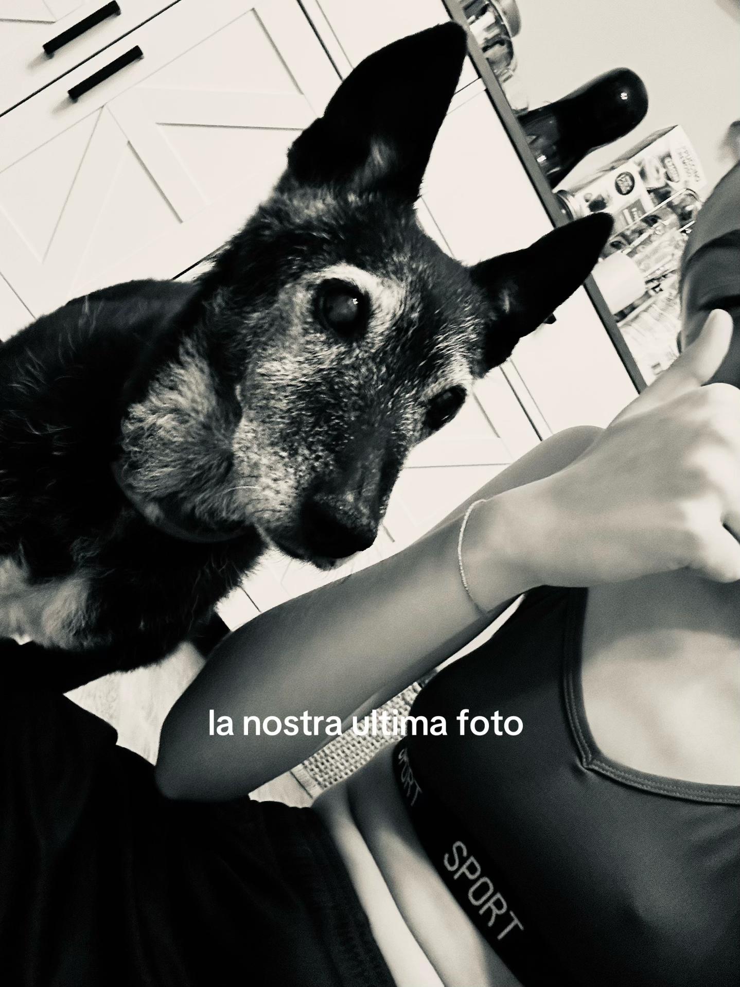 @fra.spamm