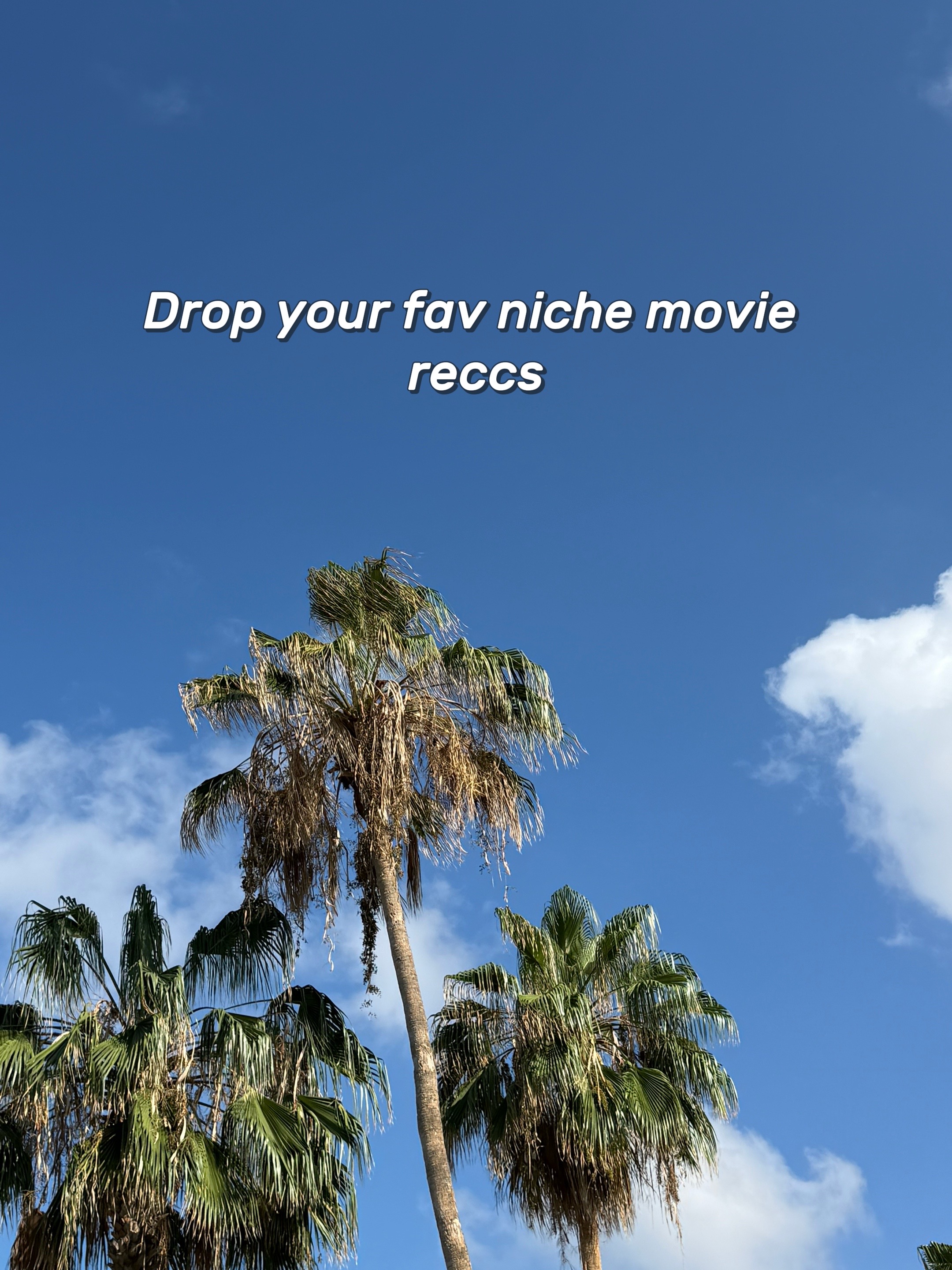 @scrazzo&rsquo;sfilmtakes