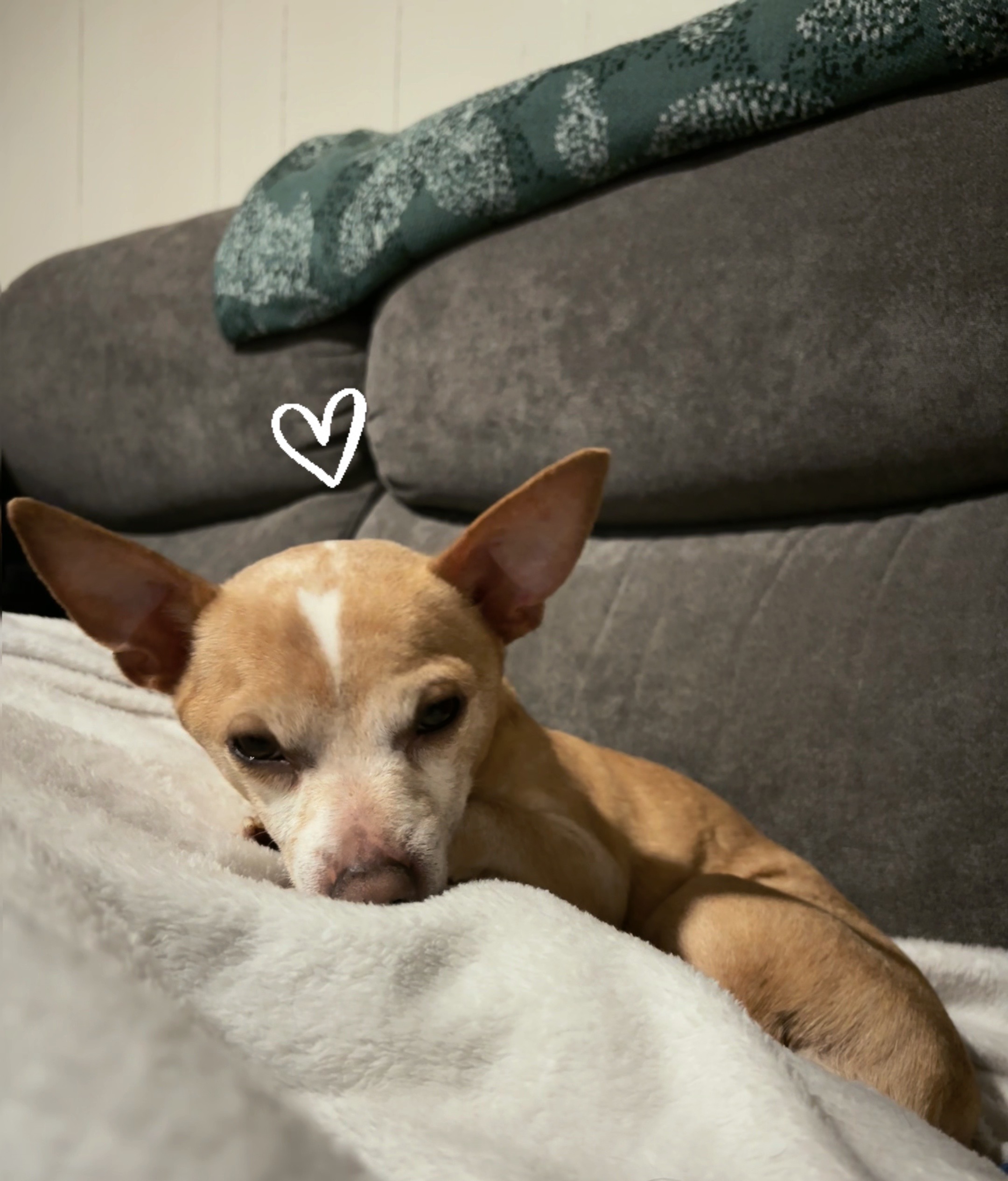 @˚୨୧⋆。˚ ⋆ ˚ lex ♡ ⋆。˚ ꕥ