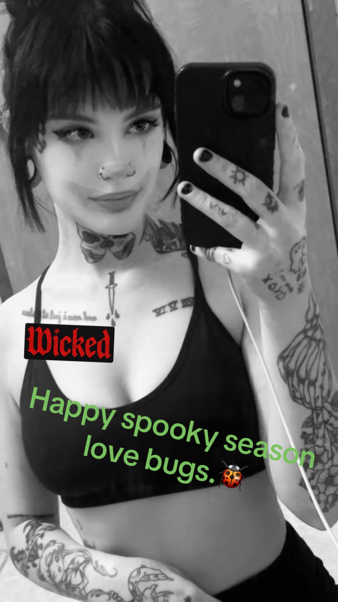 @🫥🦇Bats🦇🫥