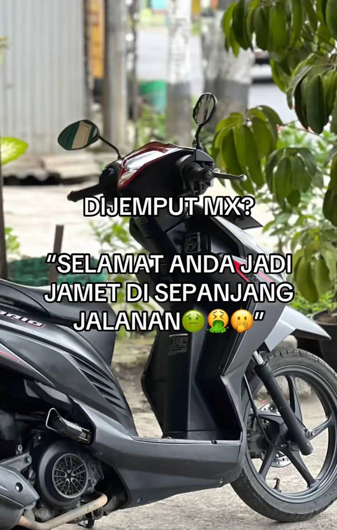 @๐๐ถ๐ธ๐ ๐๐ฏ๐