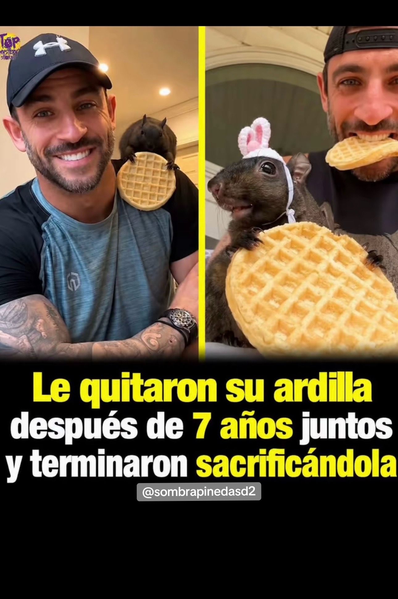 @SOMBRApinedaSD2
