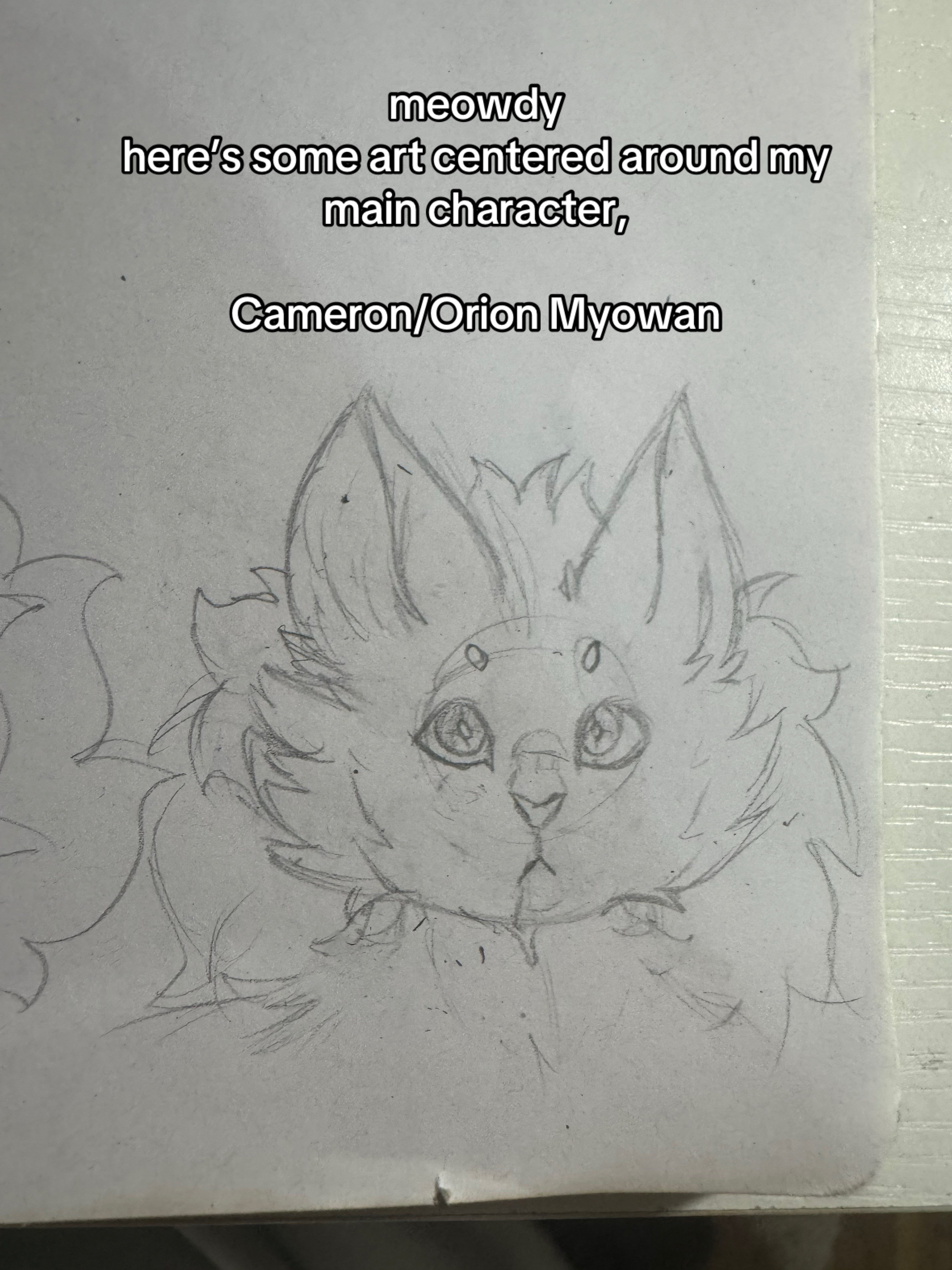 @ミ★࿌ 𝐬𝐭𝐚𝐫. ࿌✫彡