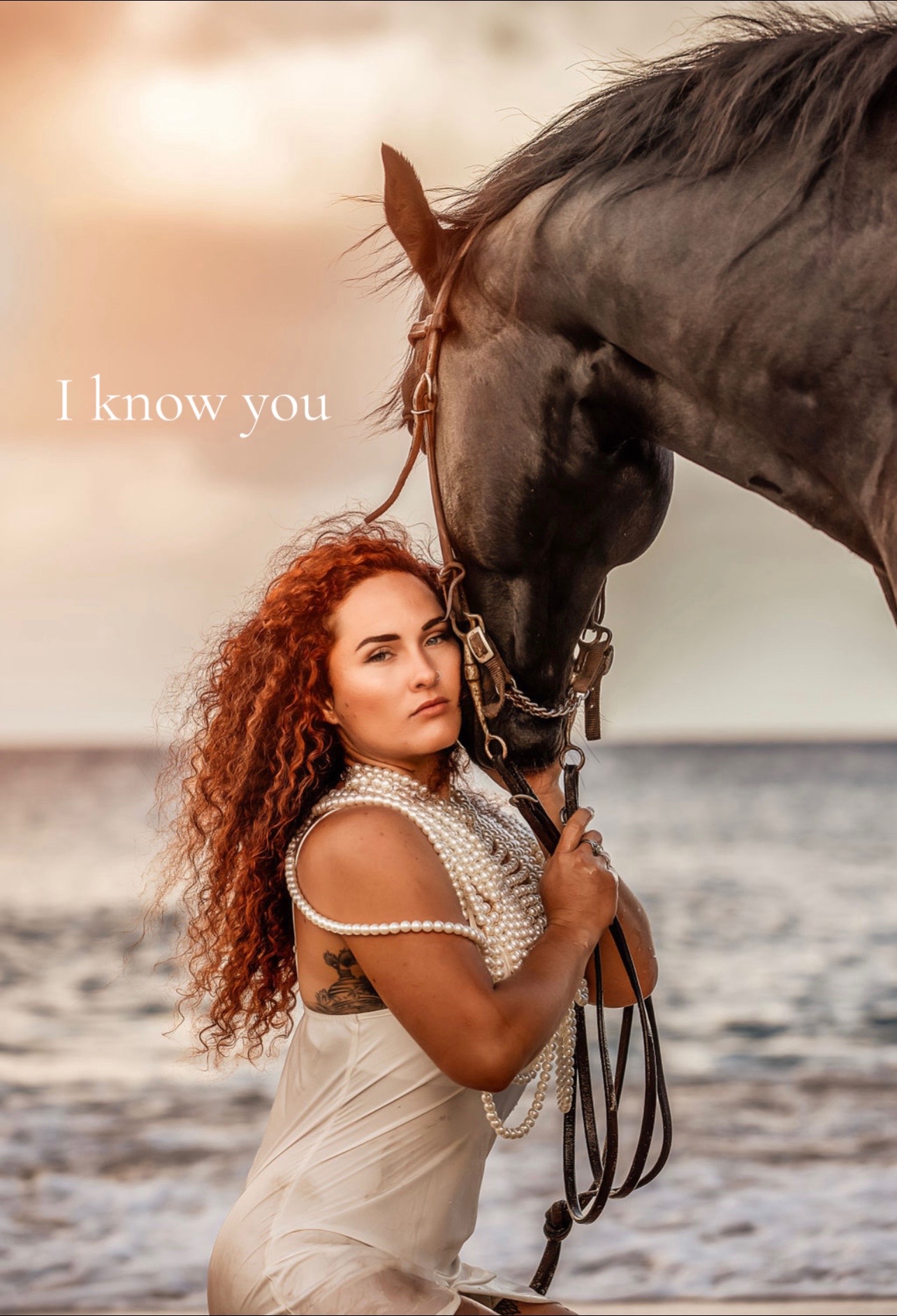 @Maureen | Equine Photographer