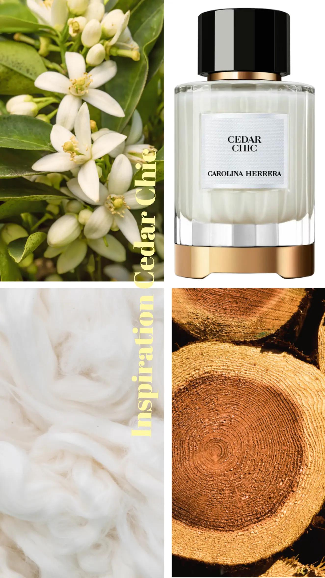 @Amraee.parfums