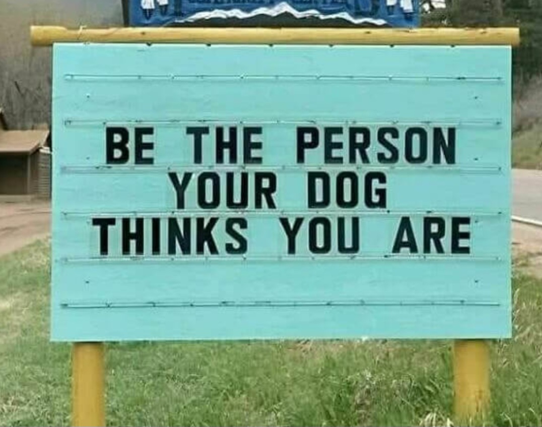 @Alpha Mike foxtrot