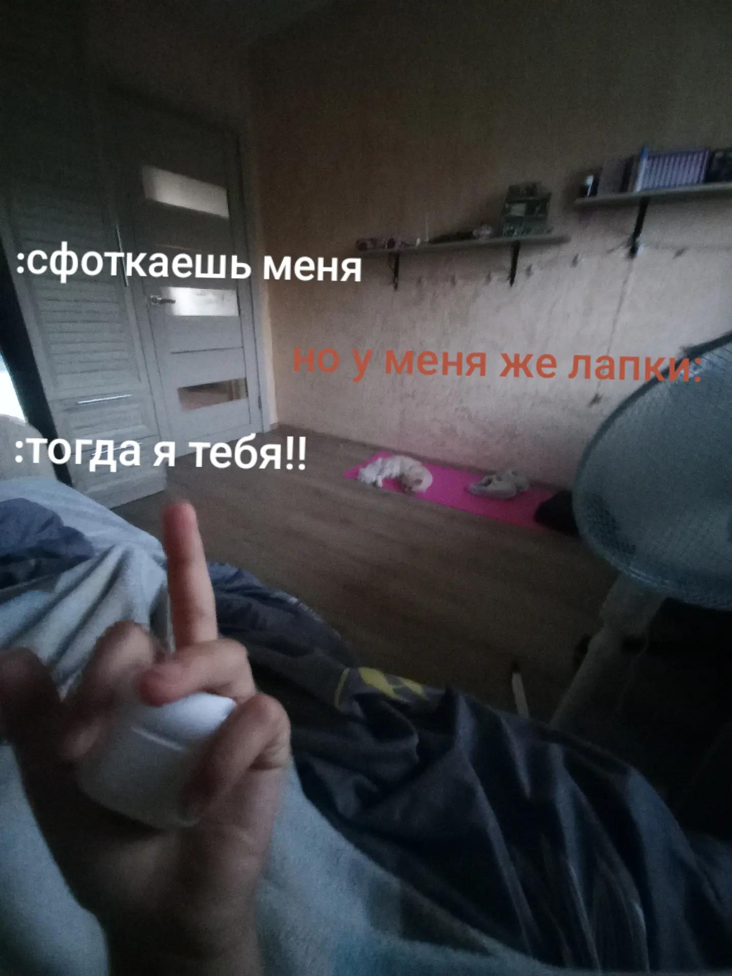 @yulqwx_🌃