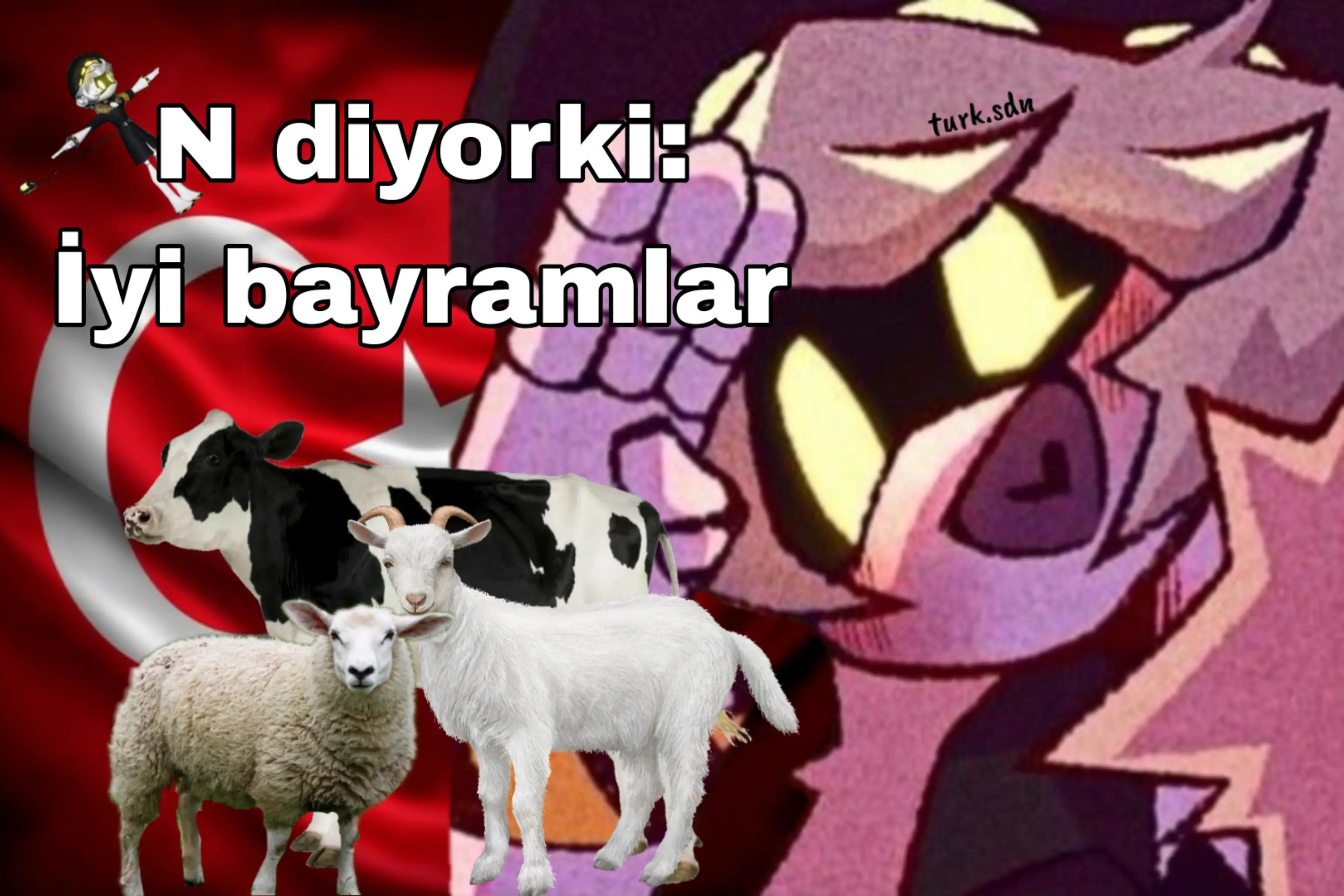 @Nord/T&uuml;rk SDN