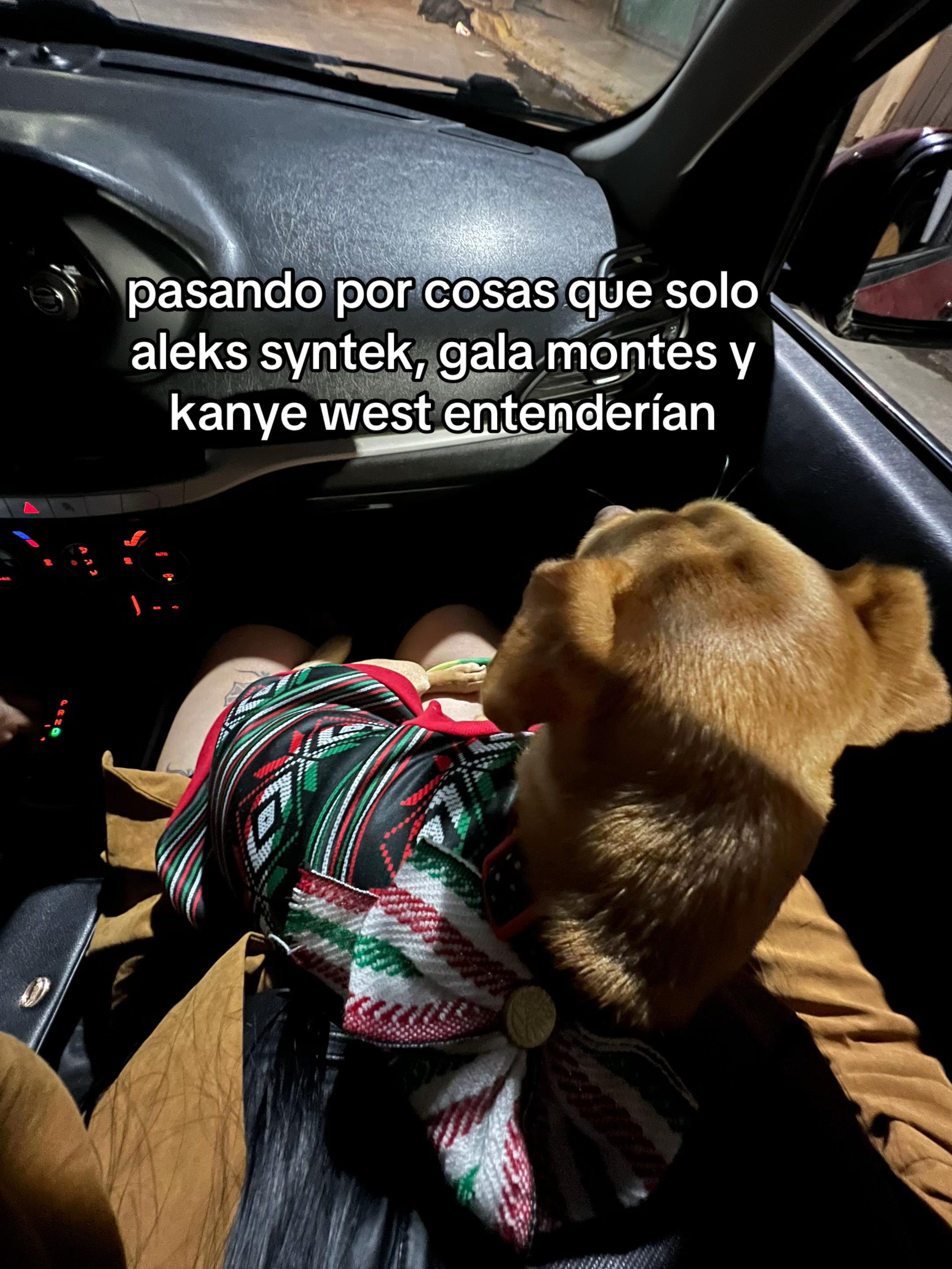 @Bree 🧸