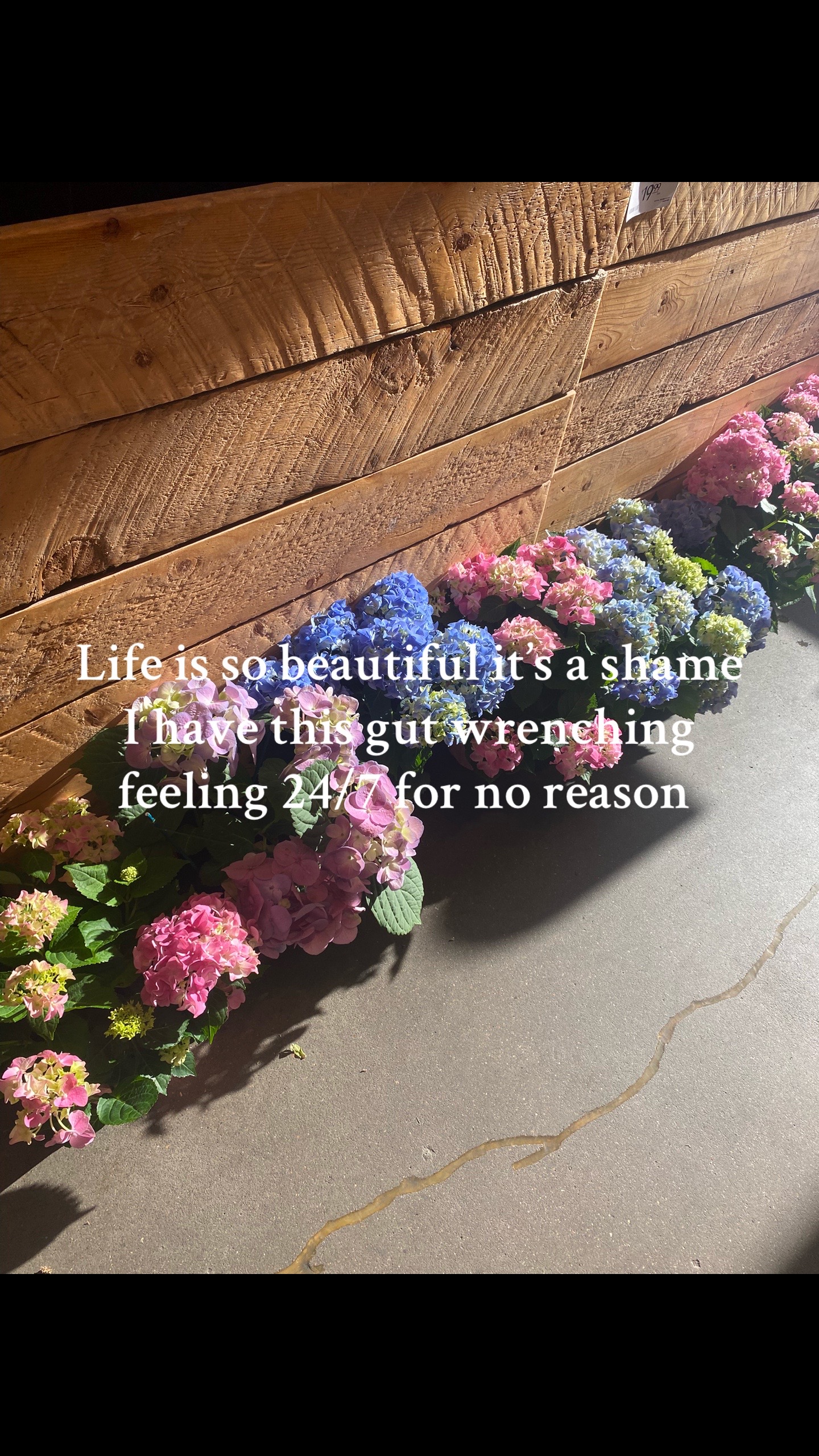 @m