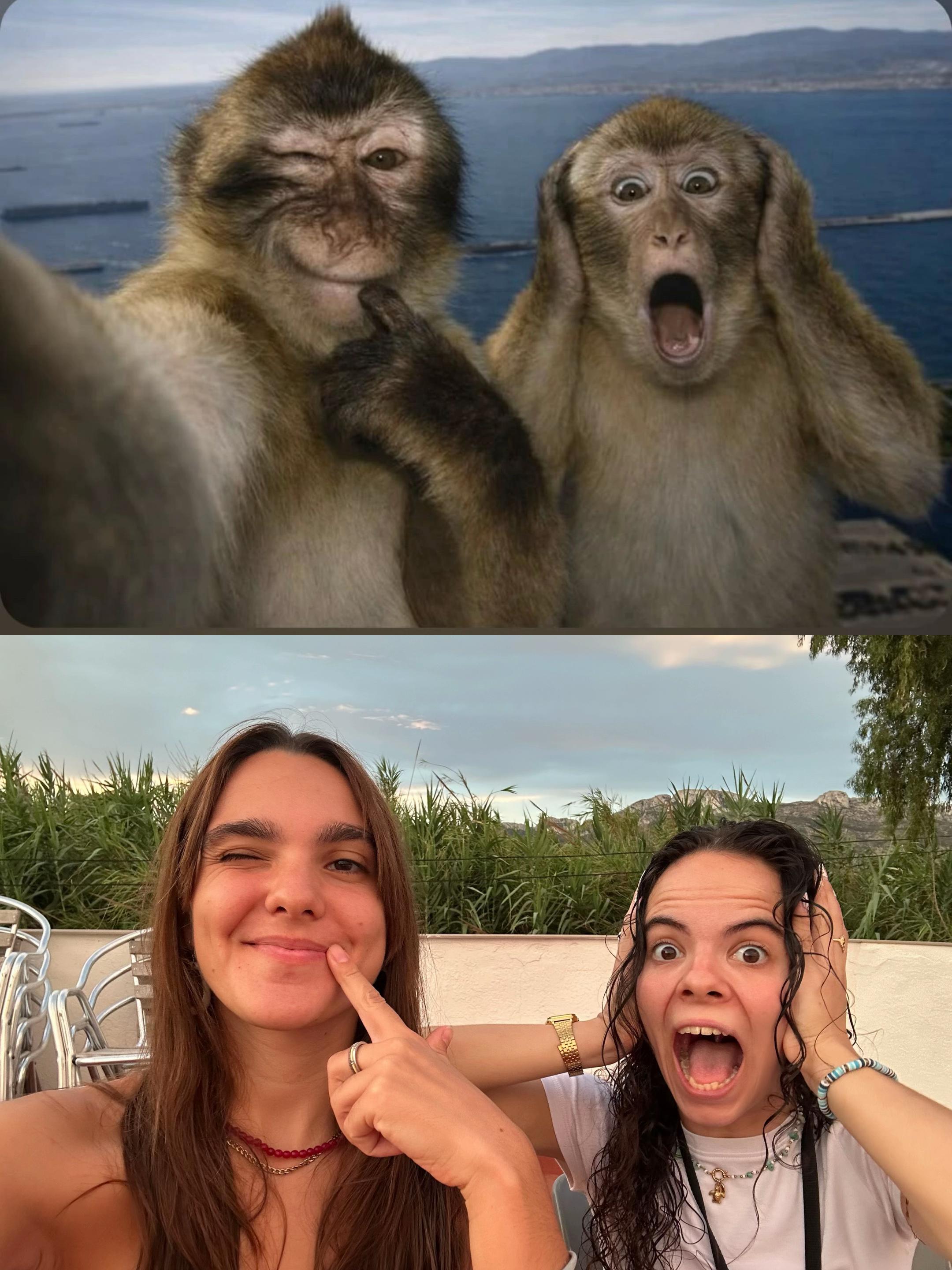 @Luc&iacute;a Oltra 💜