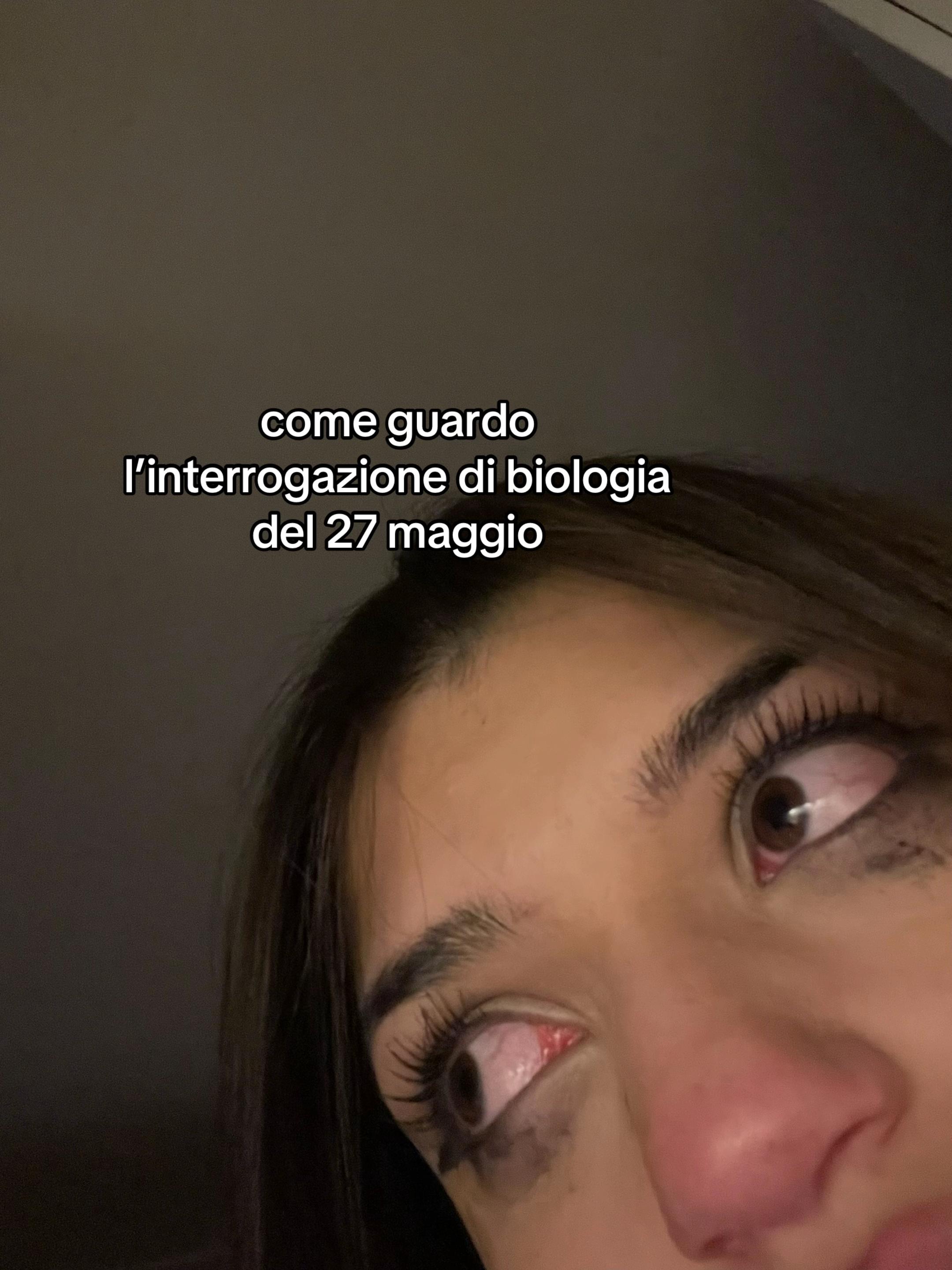 @michelapanico_