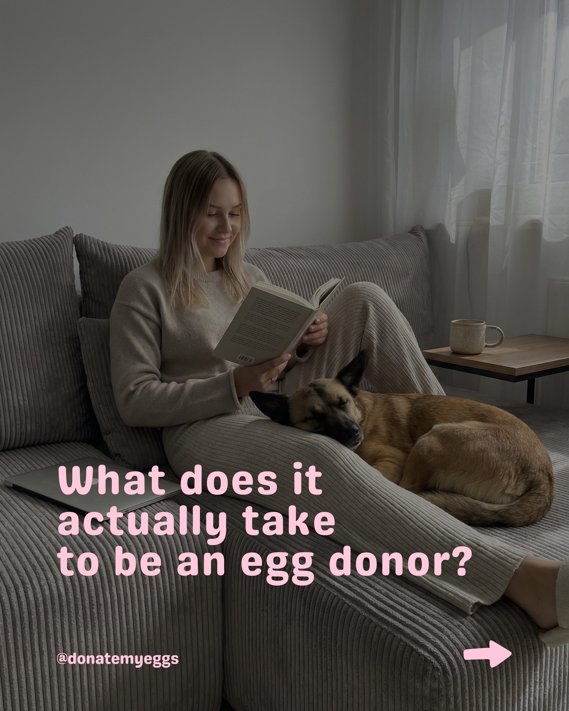 @DonateMyEggs