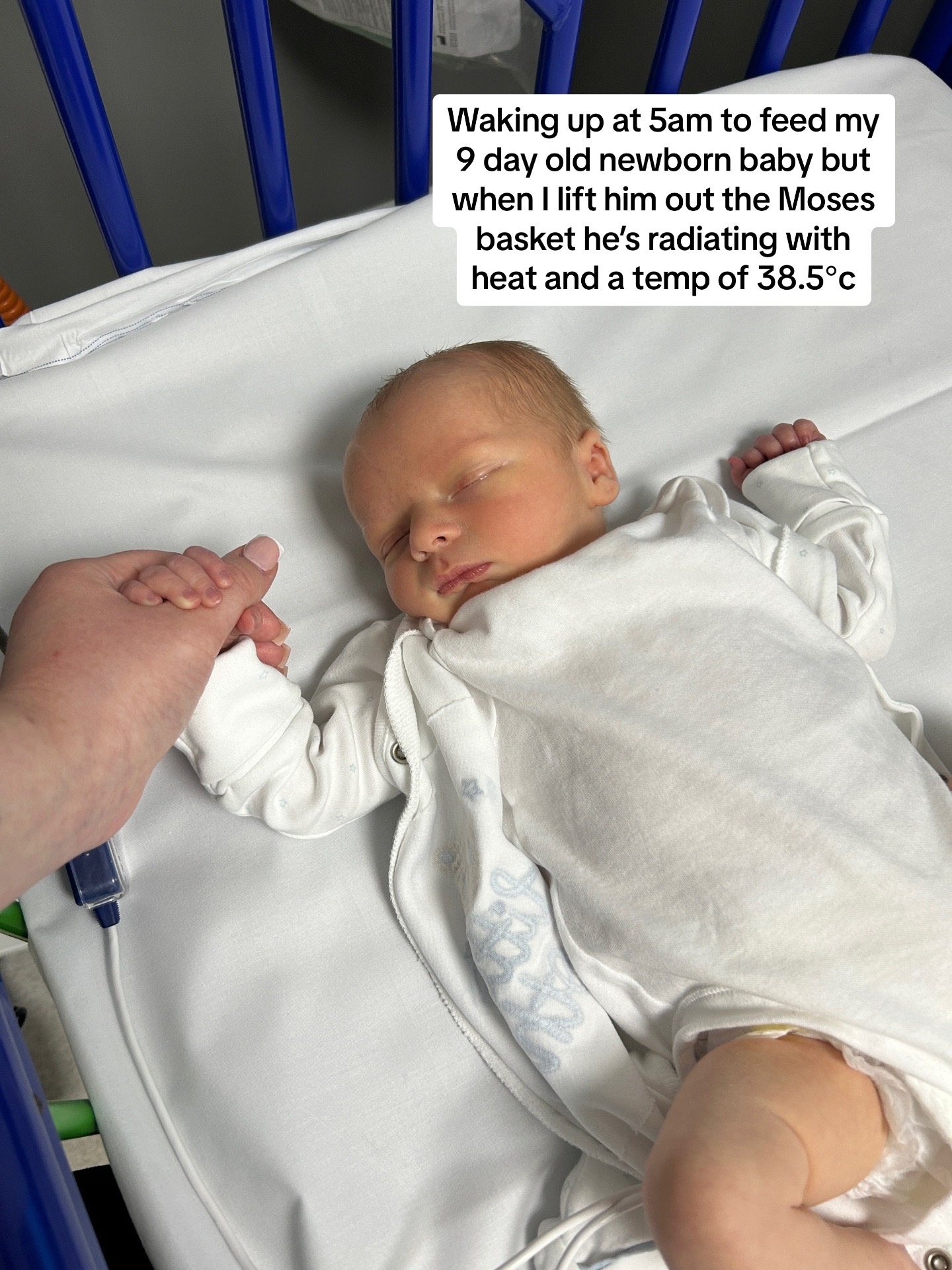 @Becca Brown