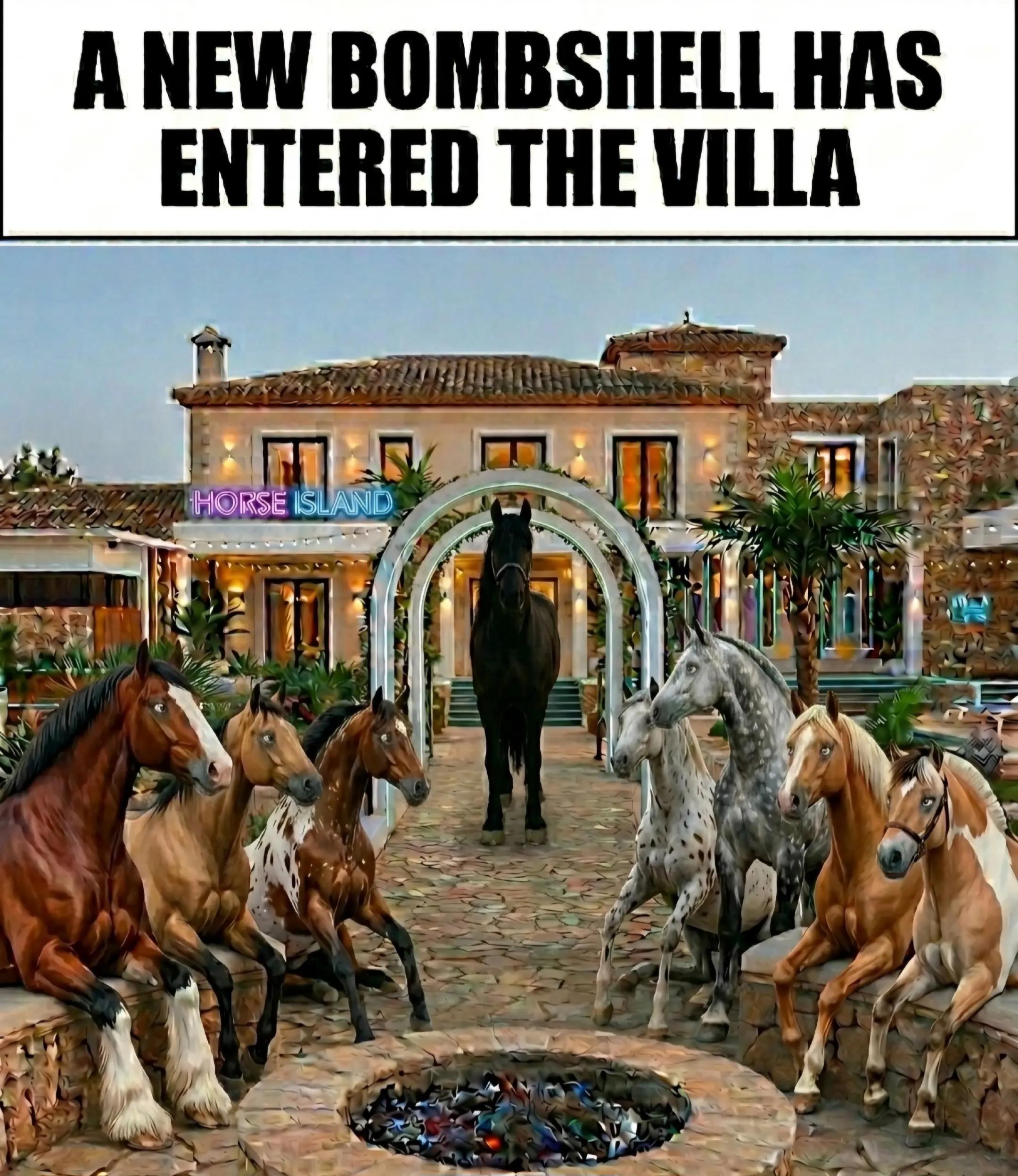 @streamhorse