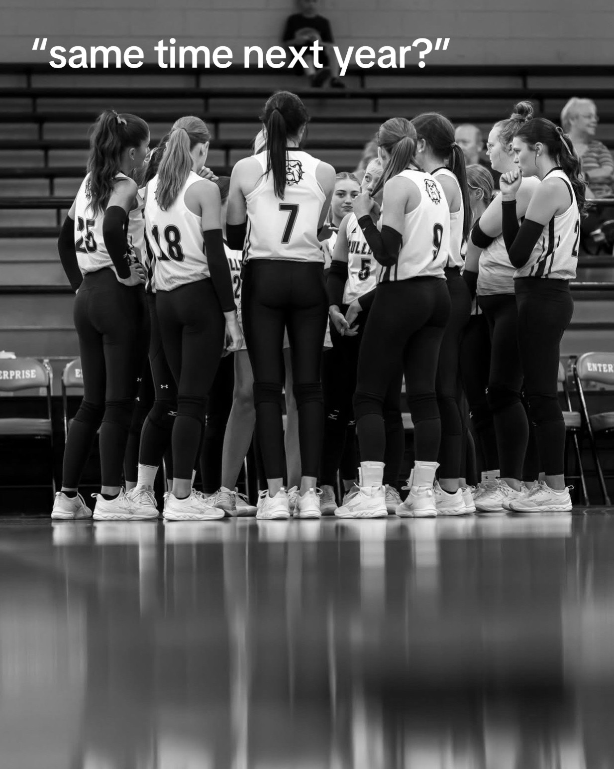 @dawgvb