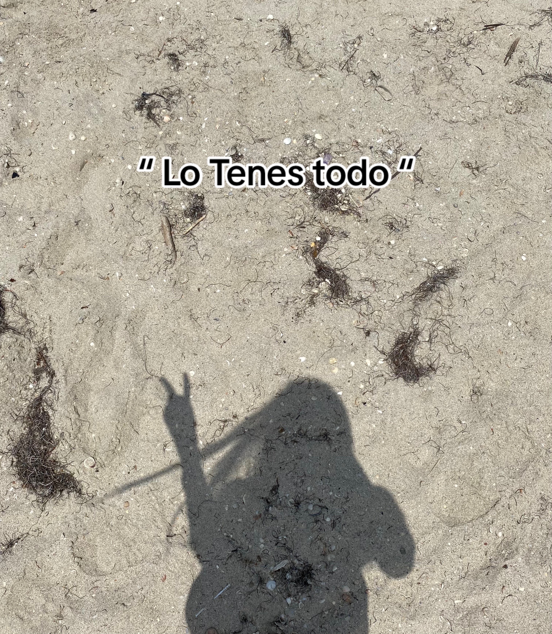 @Kensi 👑