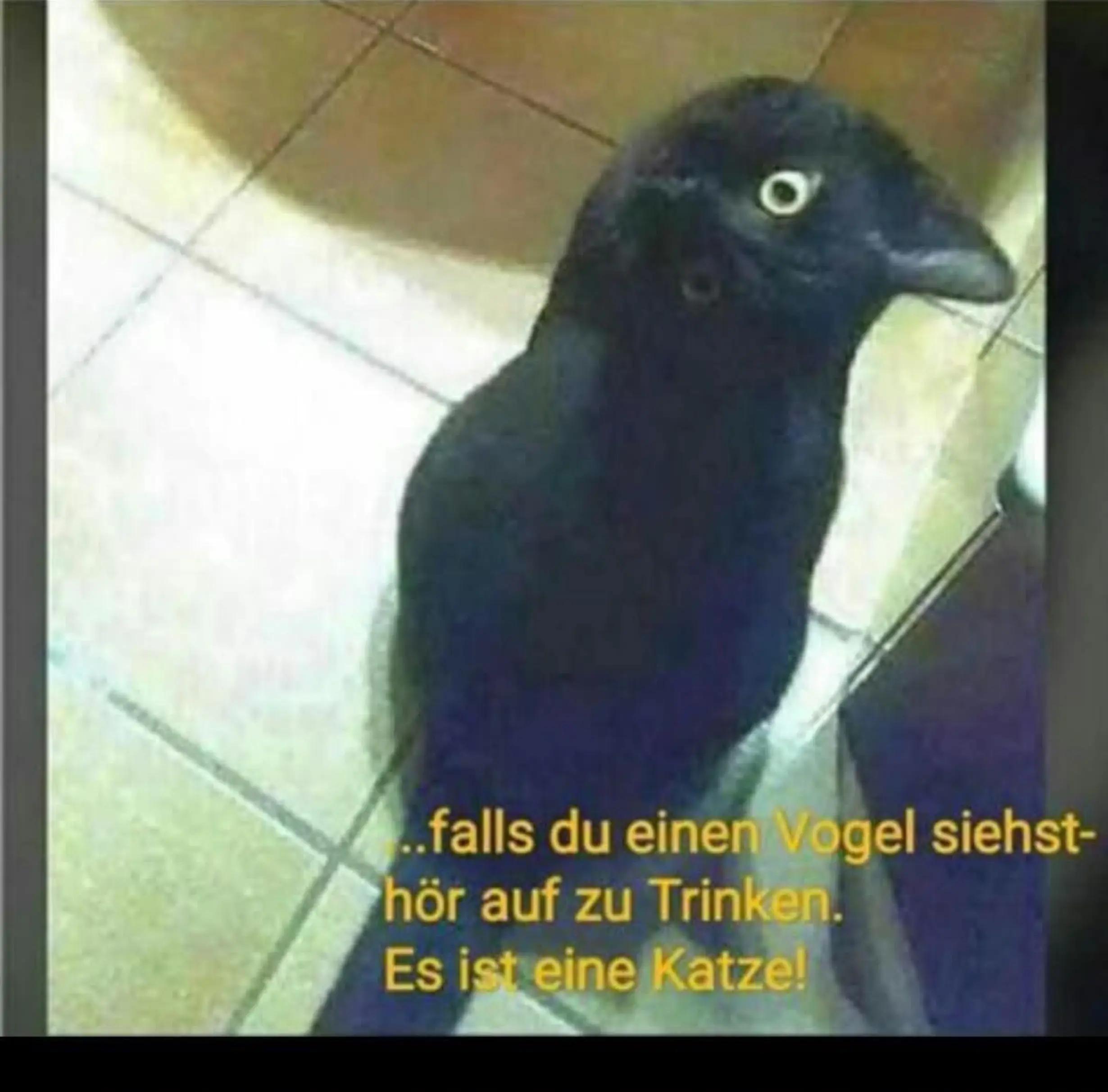 @HerrKrabbeZockt