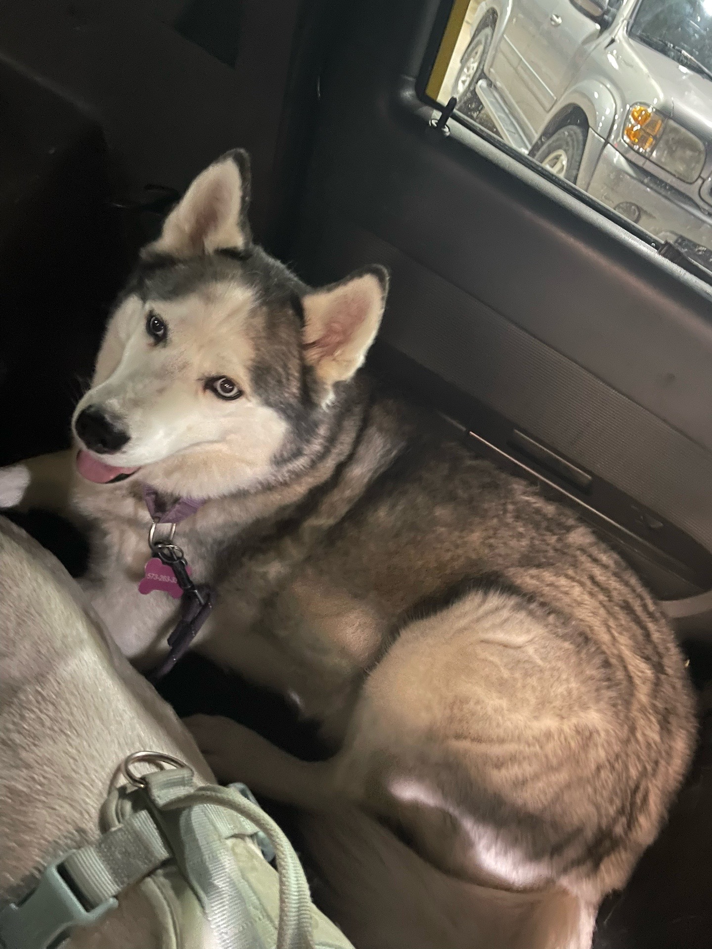 @Josiemccabe_huskyMom