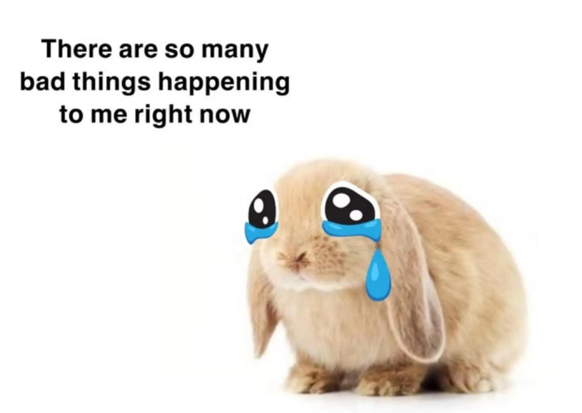 @Gia 𝄞⨾𓍢ִ໋