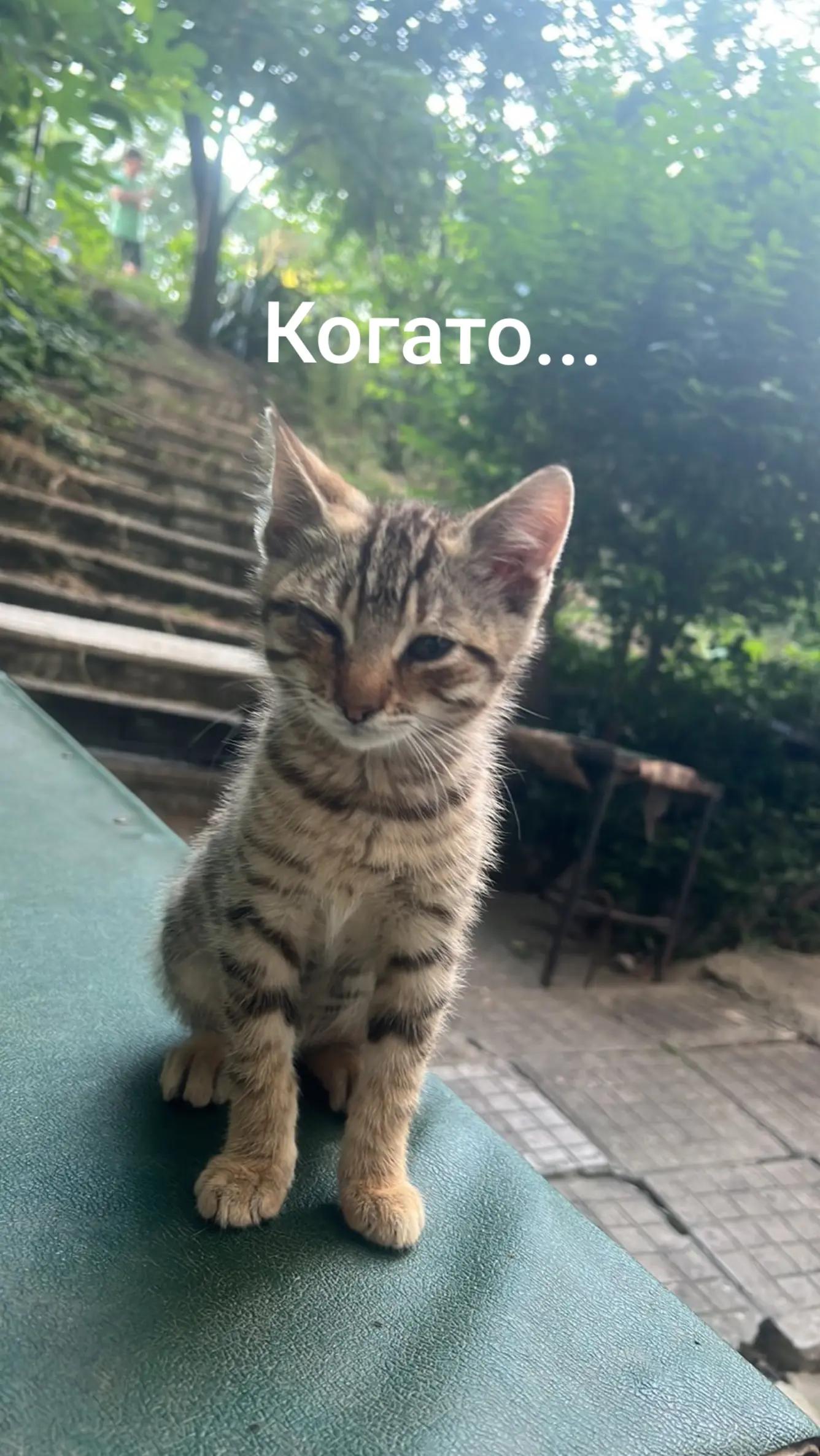 @🤍ProEeMm_1🤍