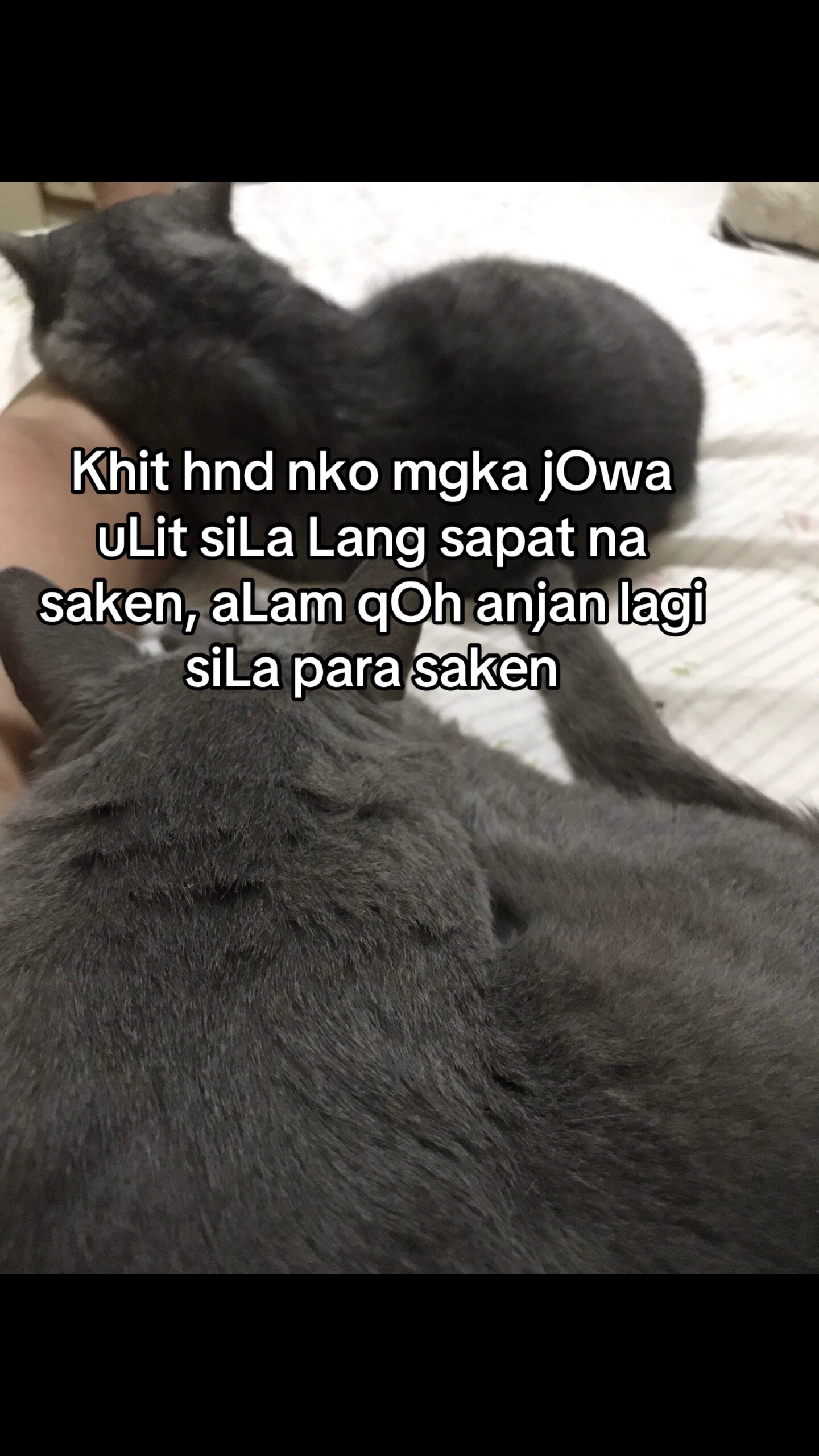 @🇵🇭Rabubu Zarah🇯🇵