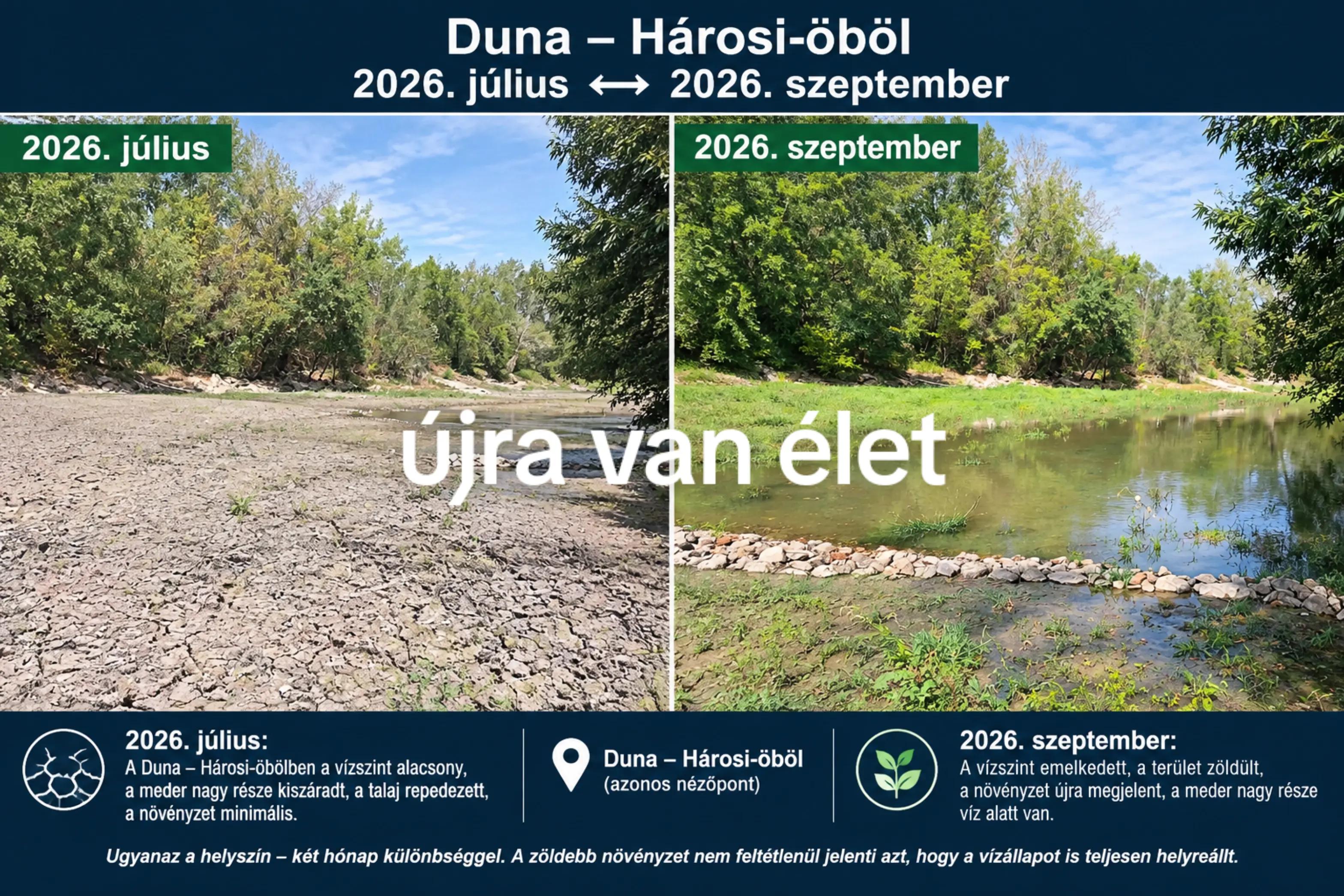 @Vir&aacute;gz&oacute; J&ouml;vő