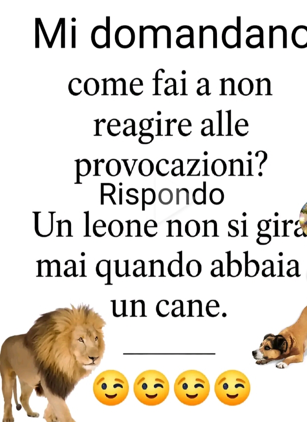 @Graziella &hearts;️
