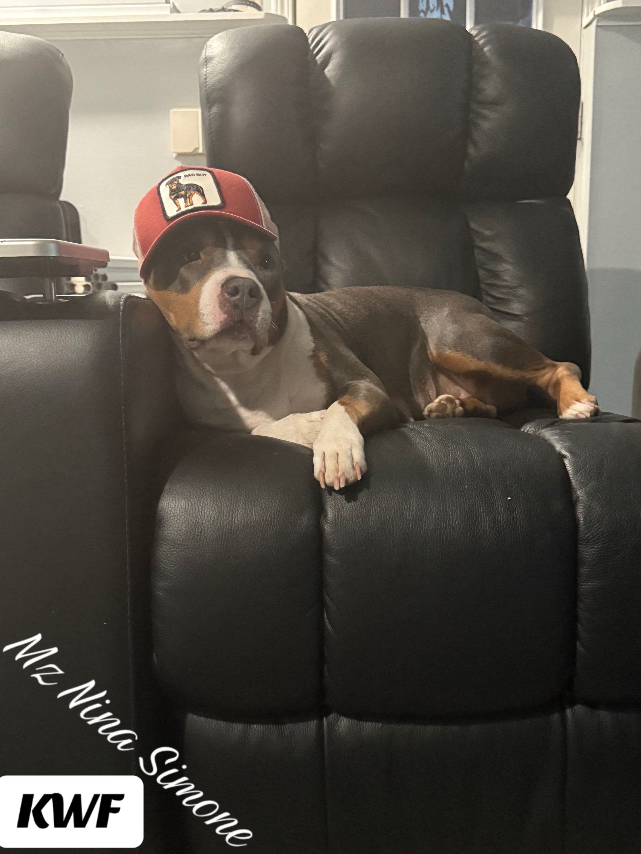 @prettyboykennels