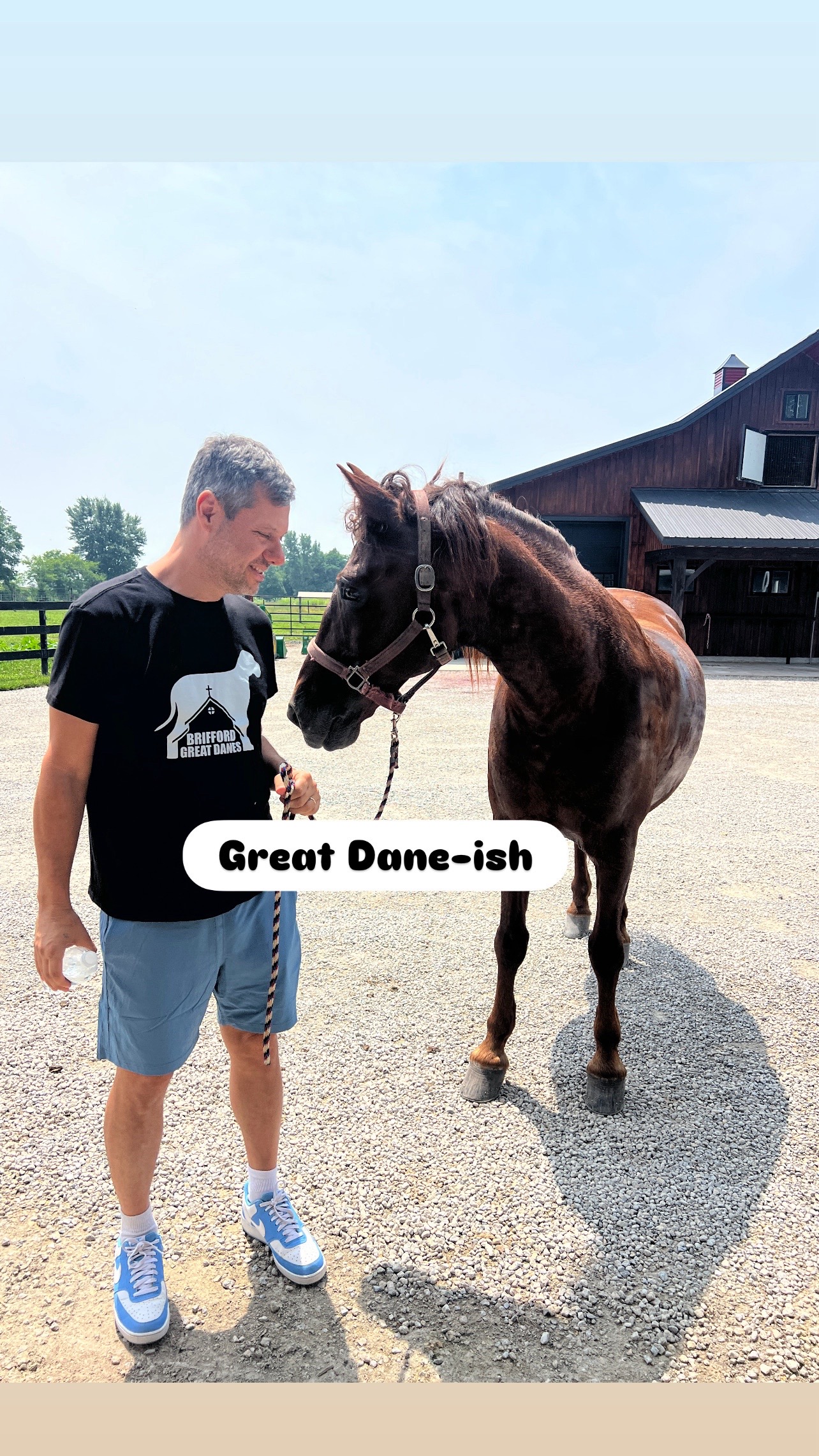 @Brifford Great Danes .com