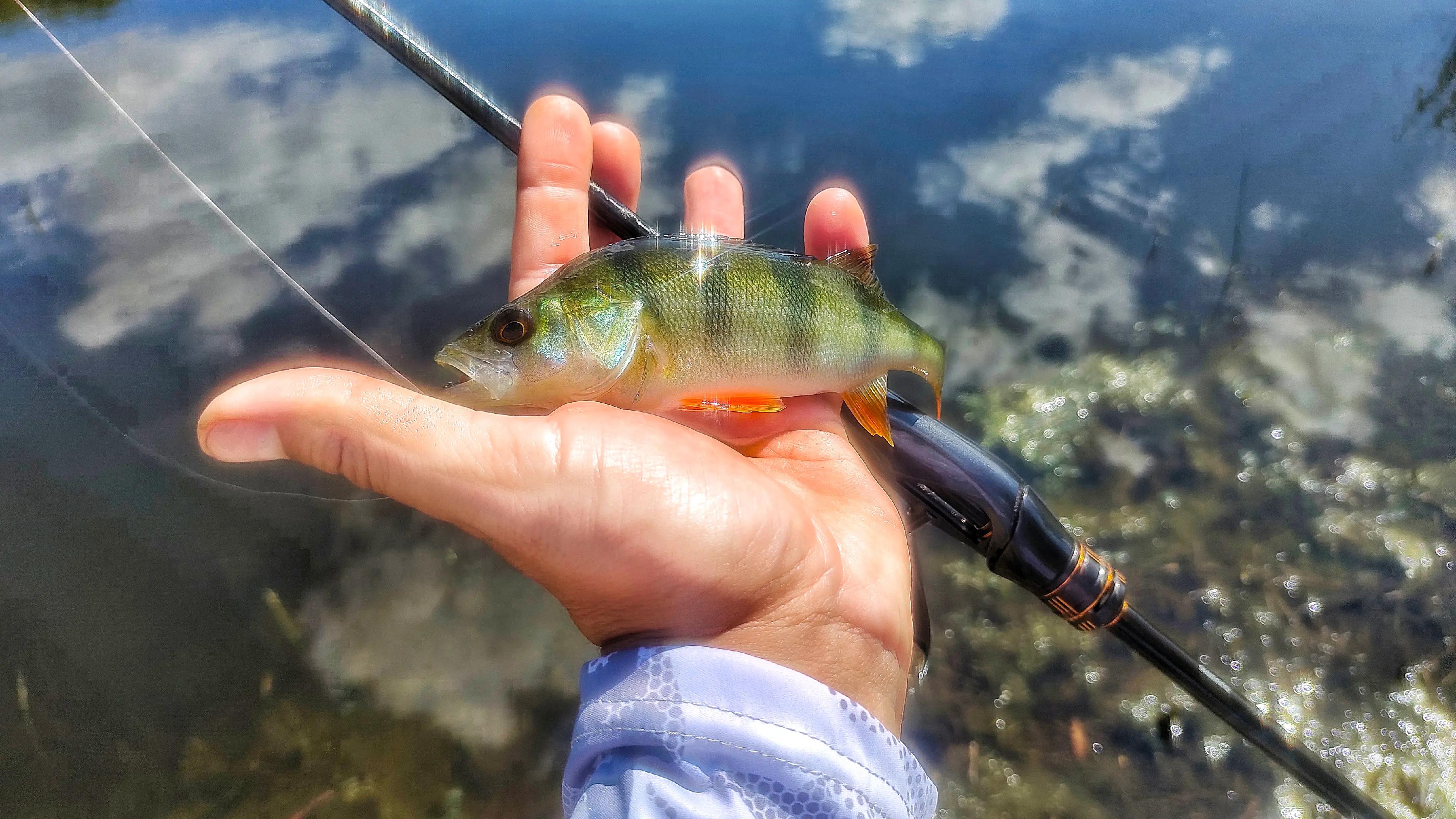 @hot_baits