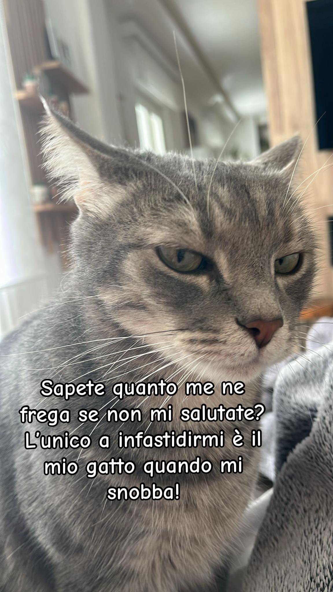 @Simona81🦋