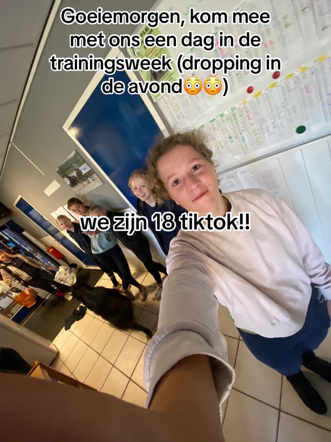 @De Hilversumse ponyclub