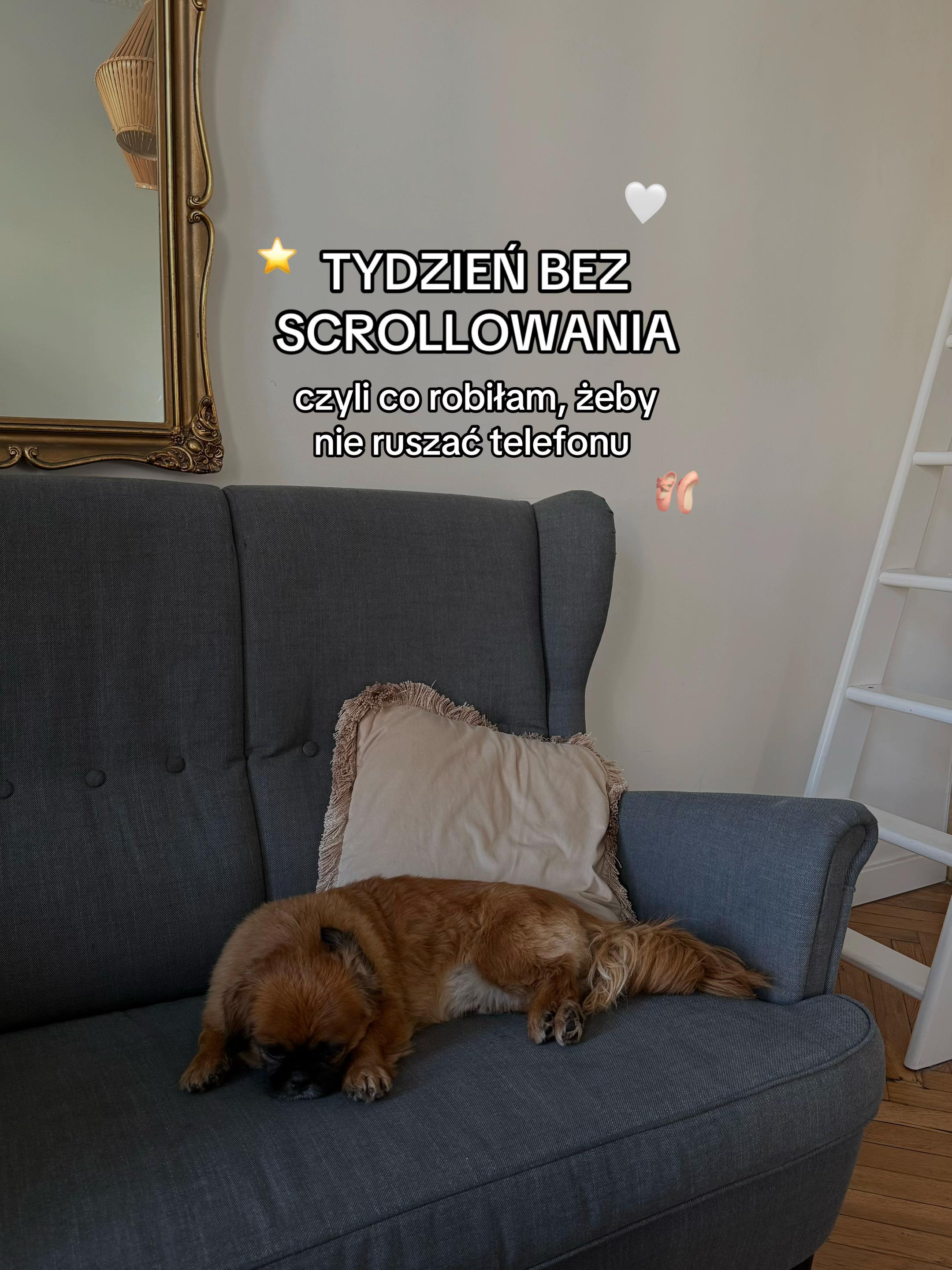 @pata 🧸 ig patrycja.kołowska