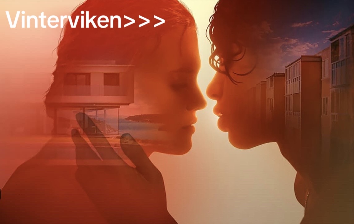 @vinterviken