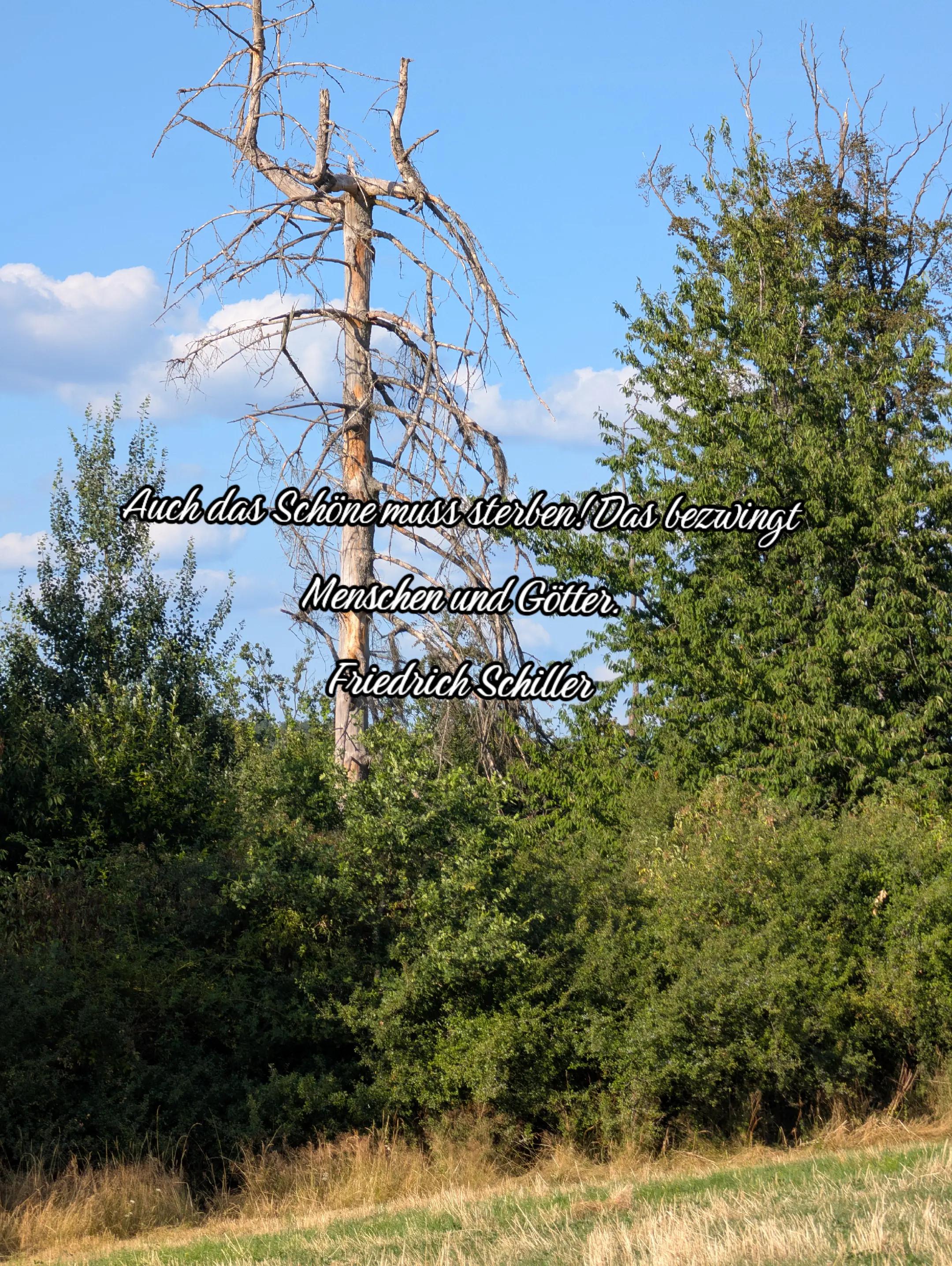 @🍀Bᚱᚨᚷᛁ🍀