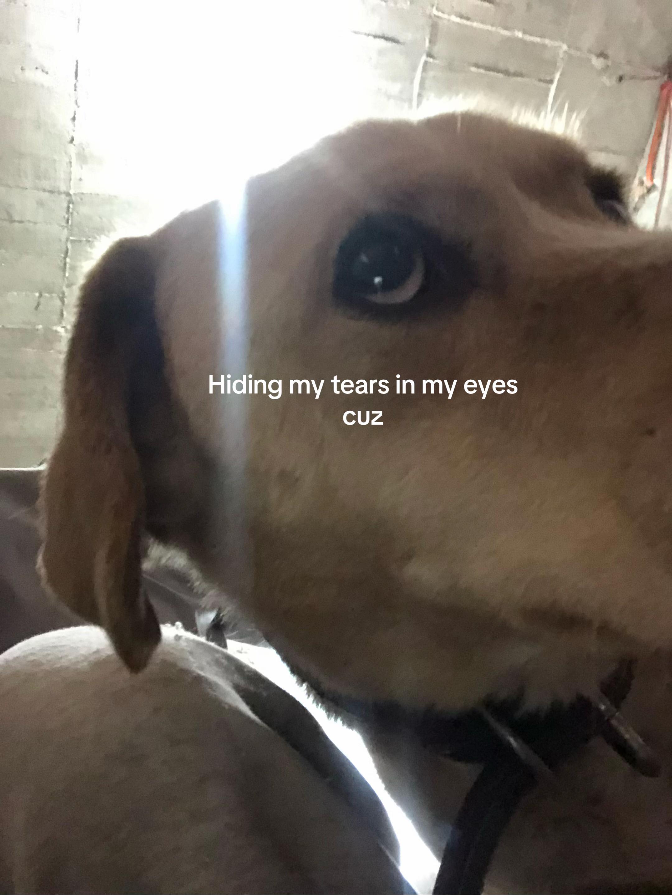@ 