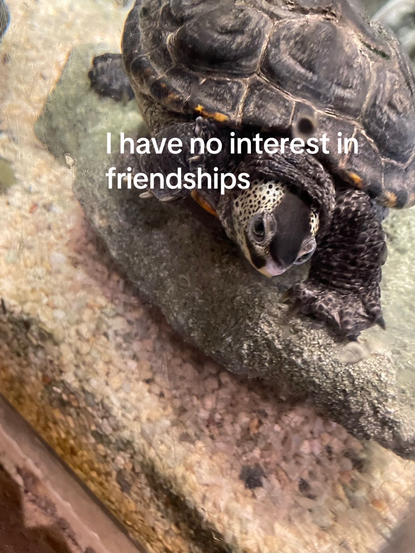 @No
